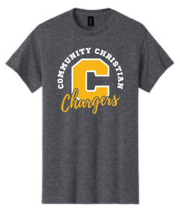 Athletic gray tshirt.png