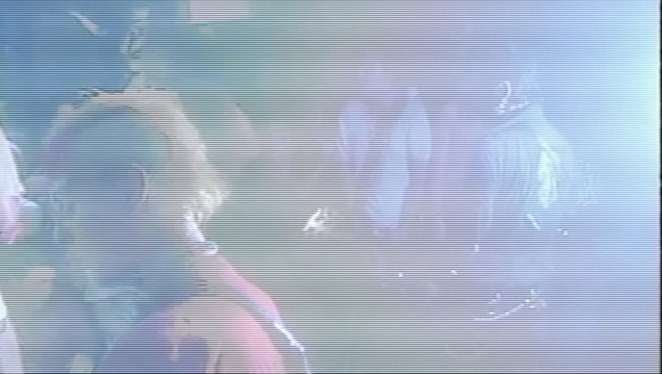 Screen Shot 2019-01-26 at 8.51.08 PM.png