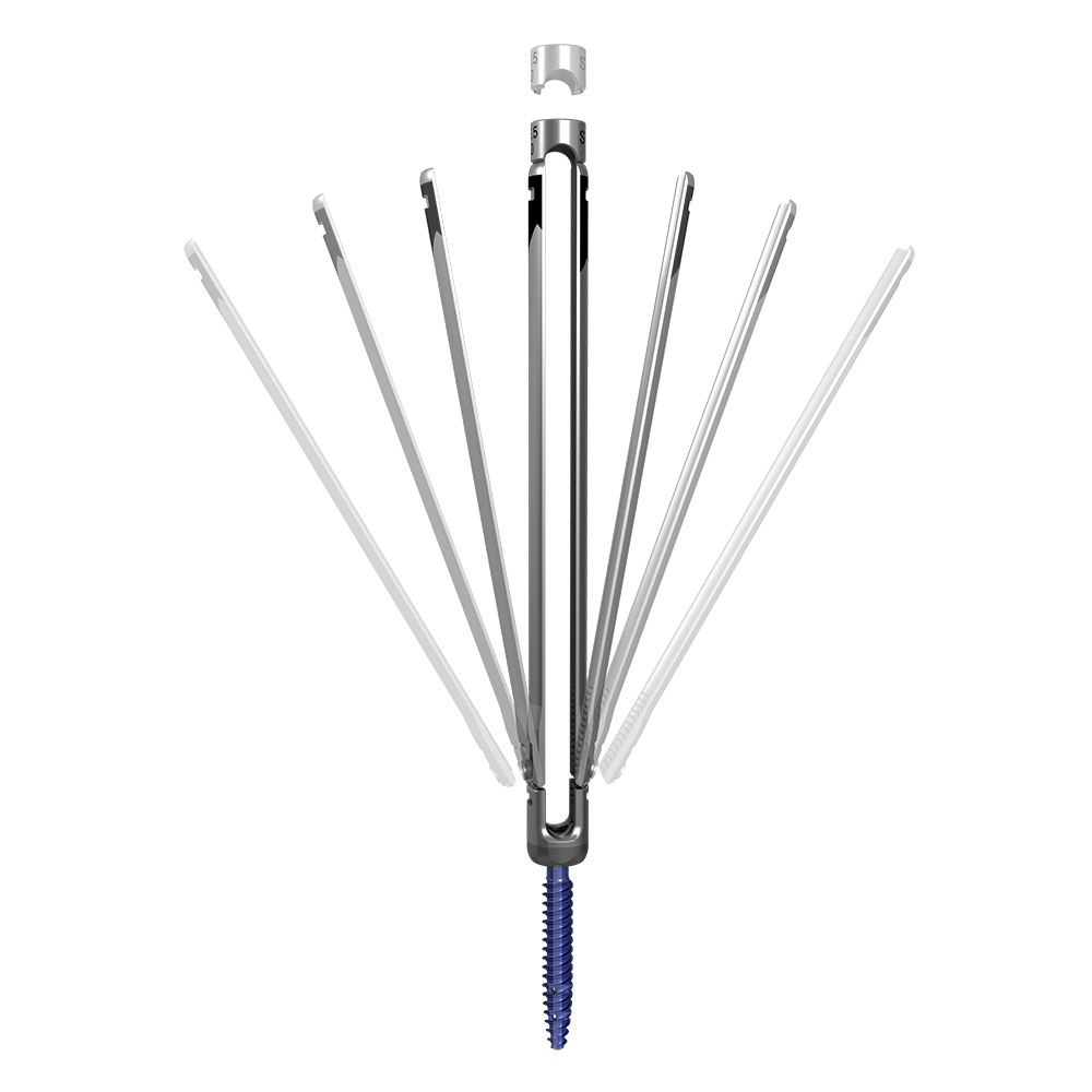 Everest MI XT
