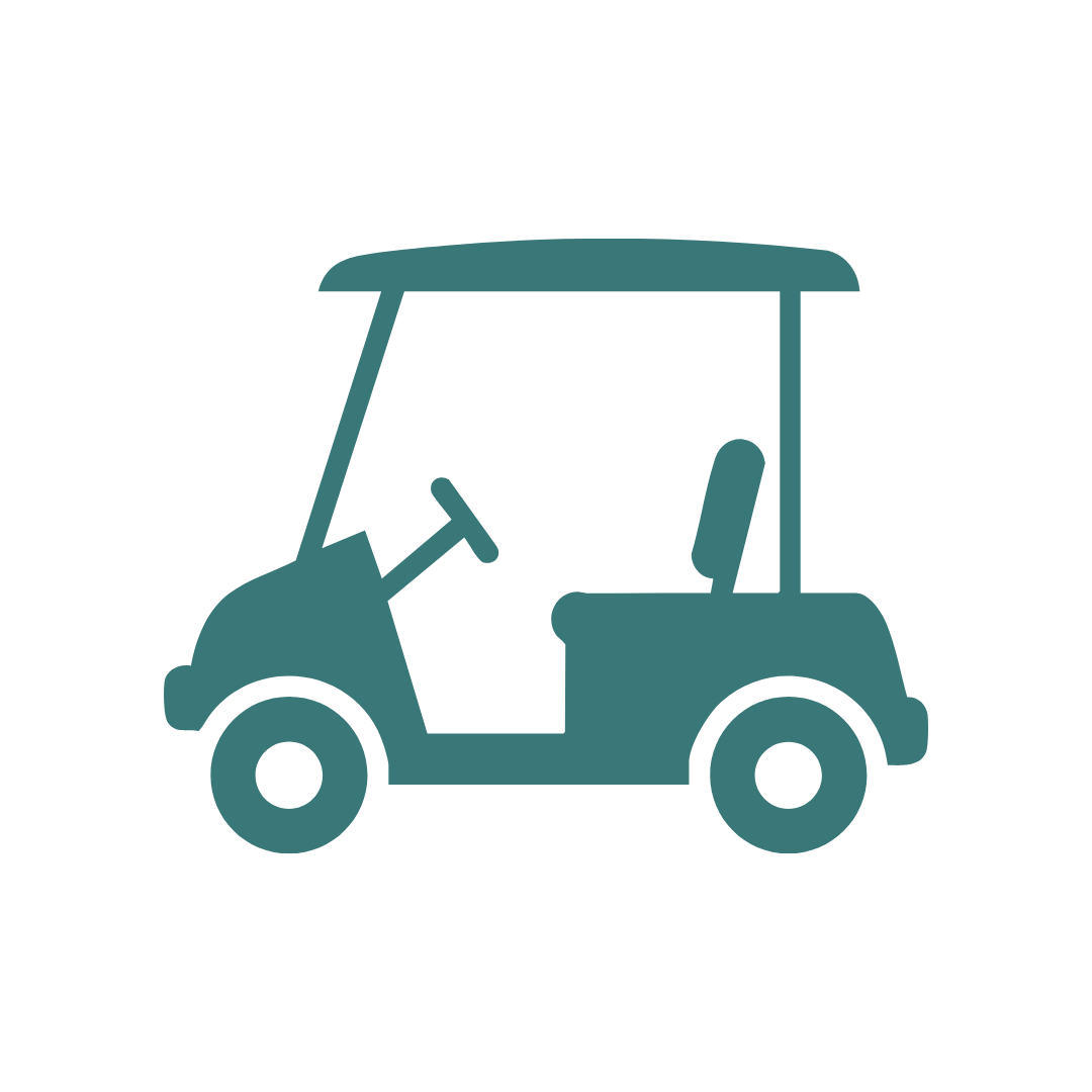 Silhouette of a golf cart with a roof, steering wheel, and seat, shown in a side view.