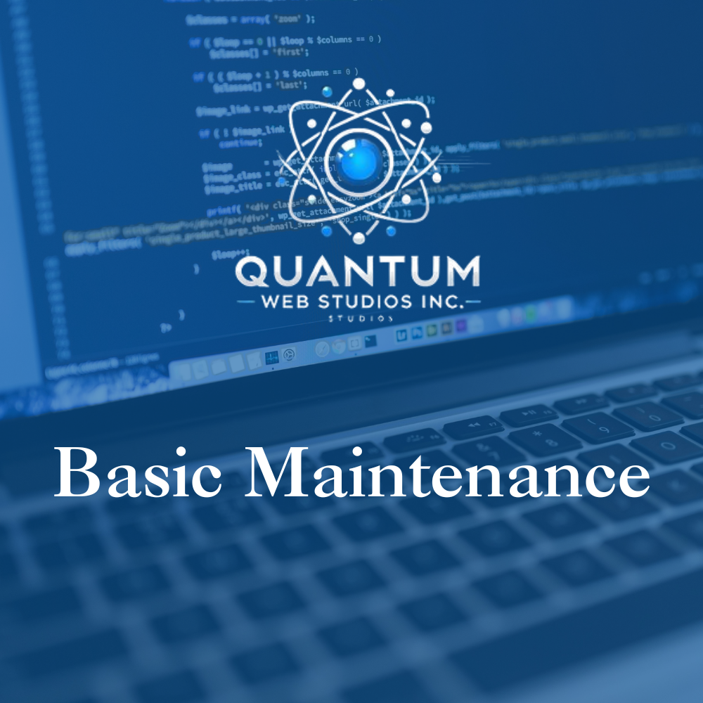 Basic Maintenance - $100–$500/month