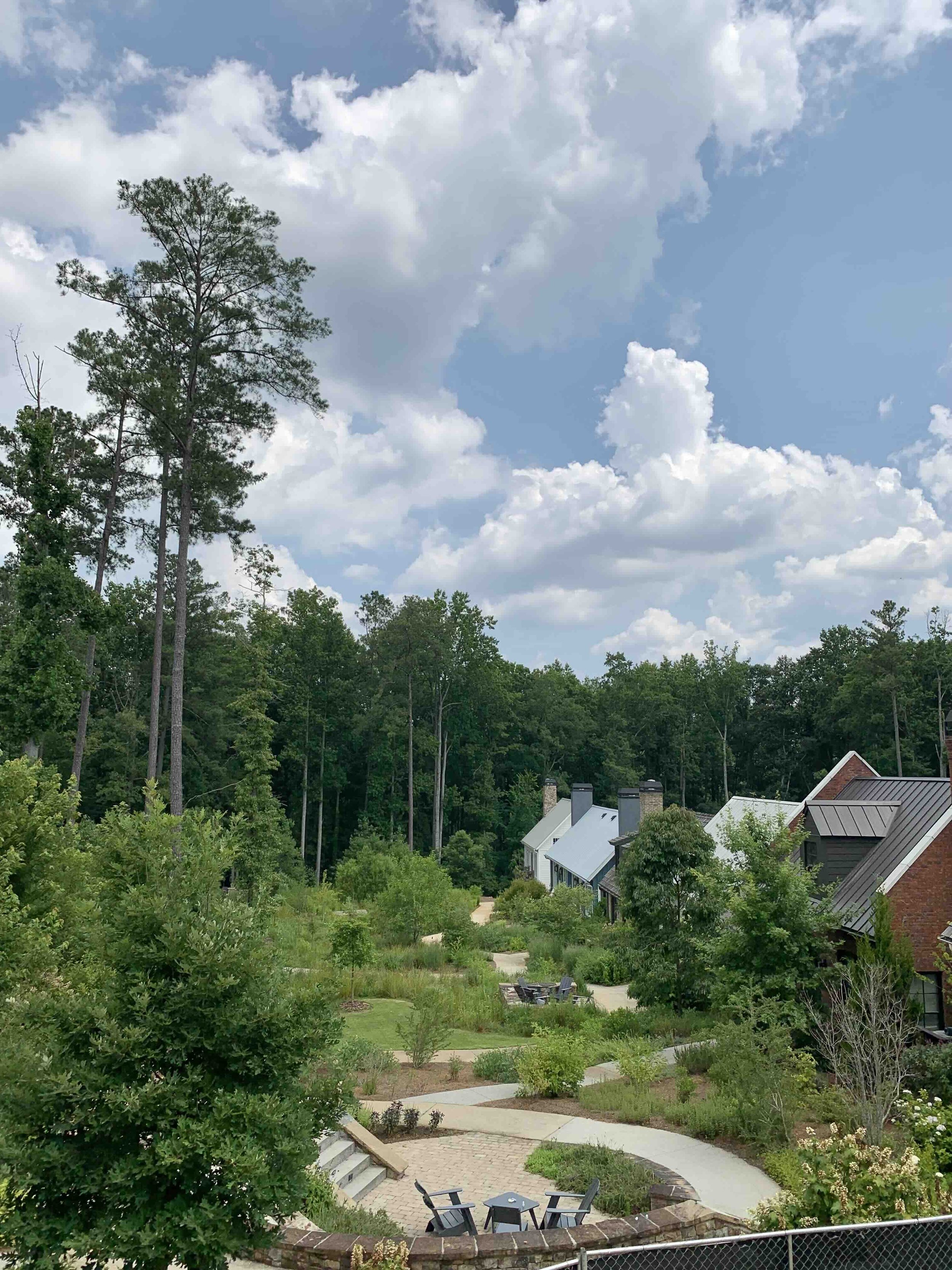 7.5DAnders Medicinal Garden.jpeg