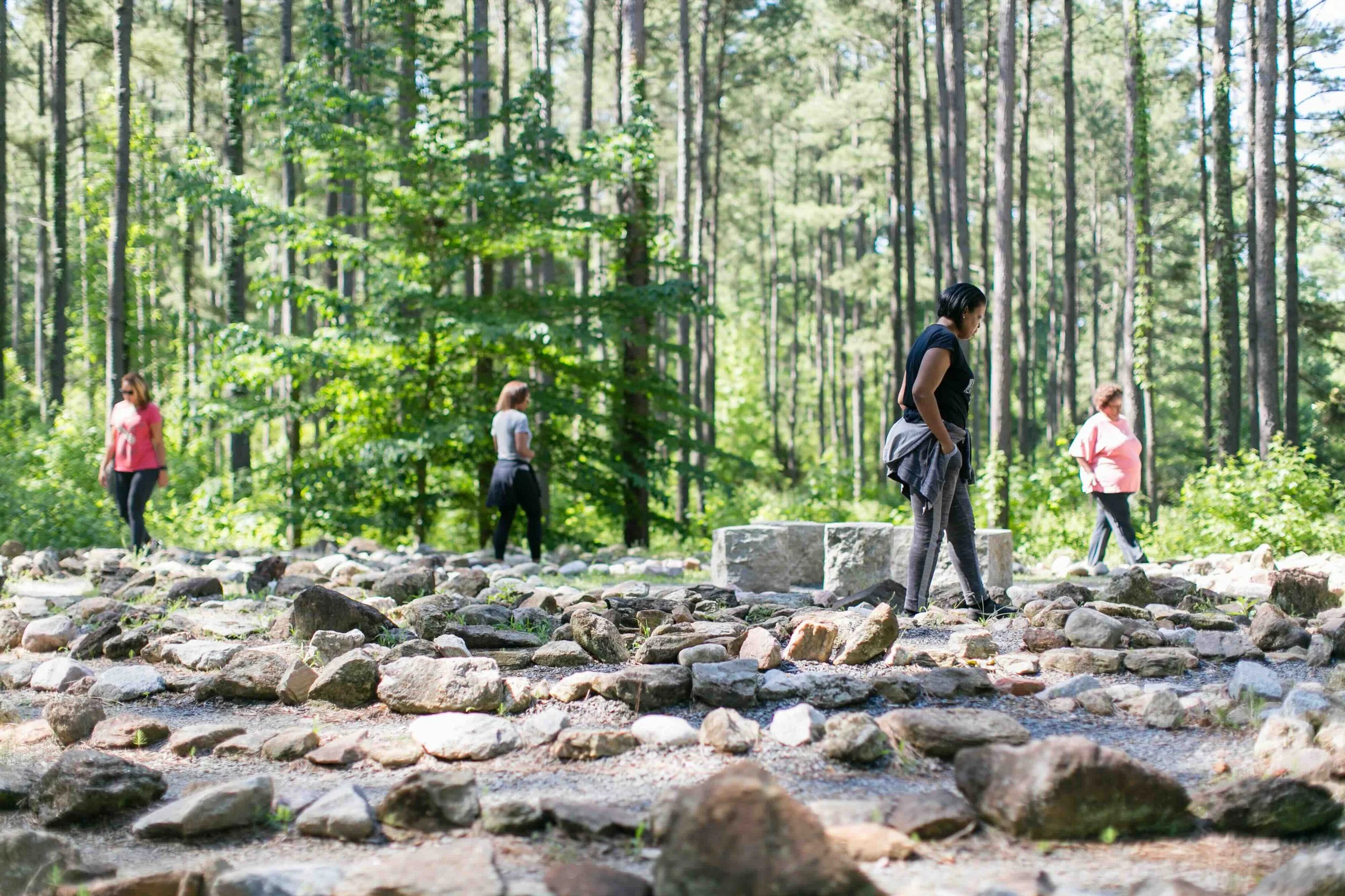 7.4B Zoetic-0068.jpeg