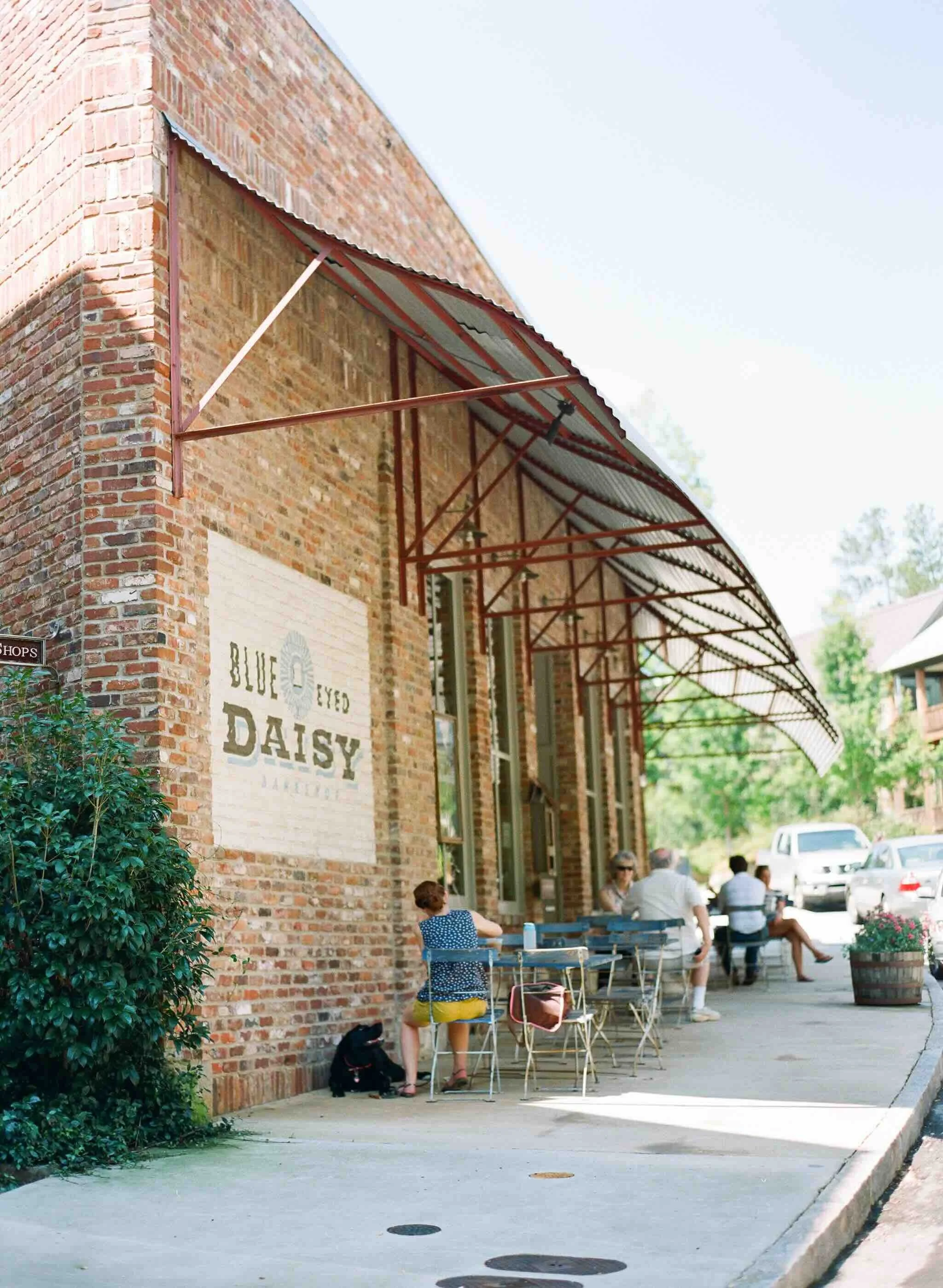 8.4C aliharperphoto_daisy-exterior.jpeg