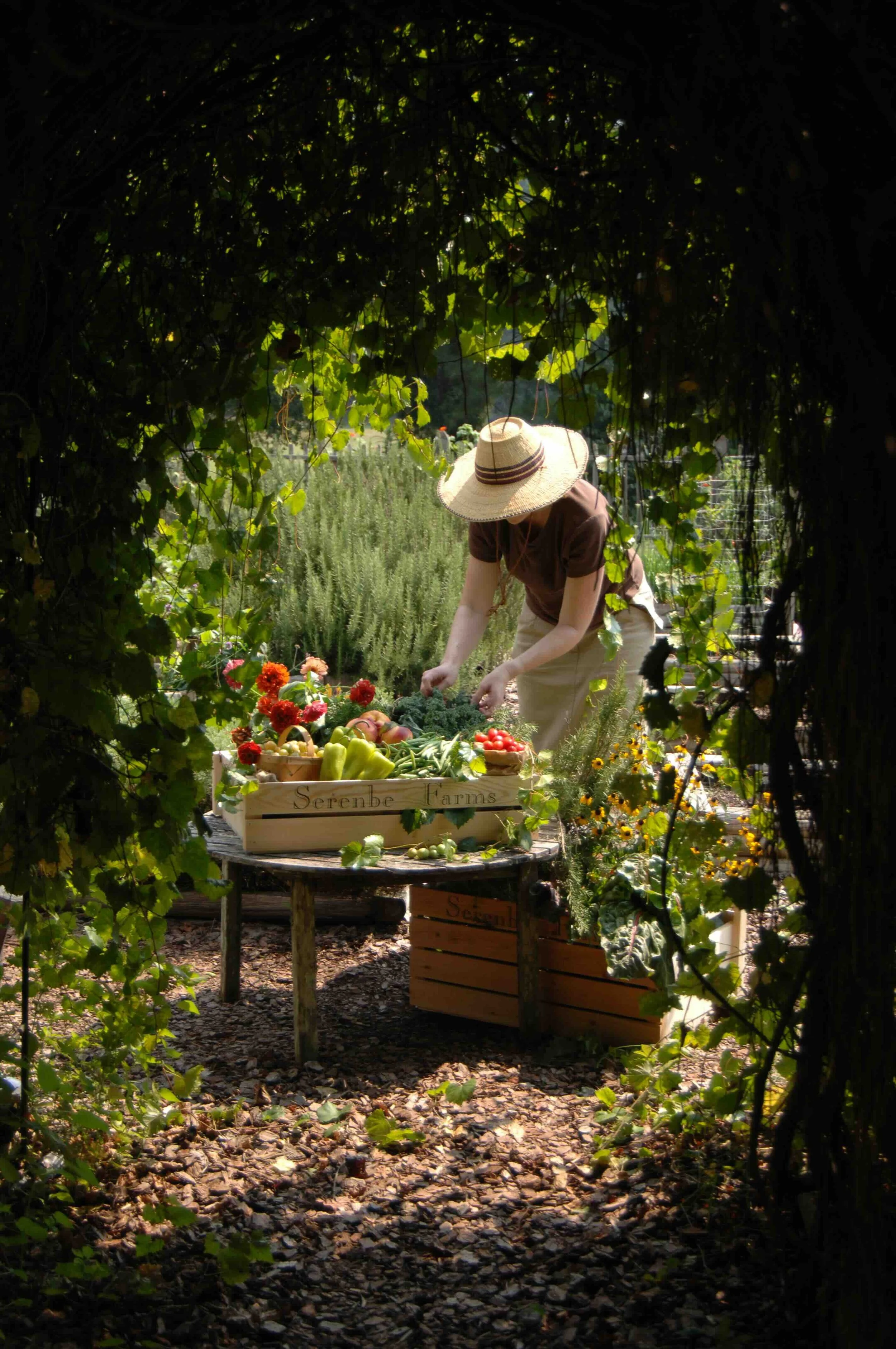 8.2B farm box DSC_0075.jpeg