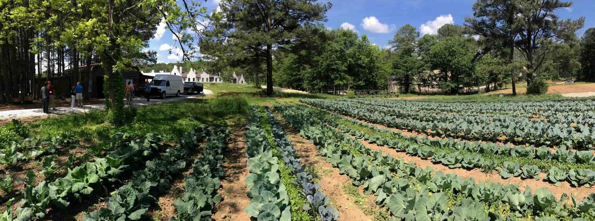 8.2A unspecified copy.jpeg