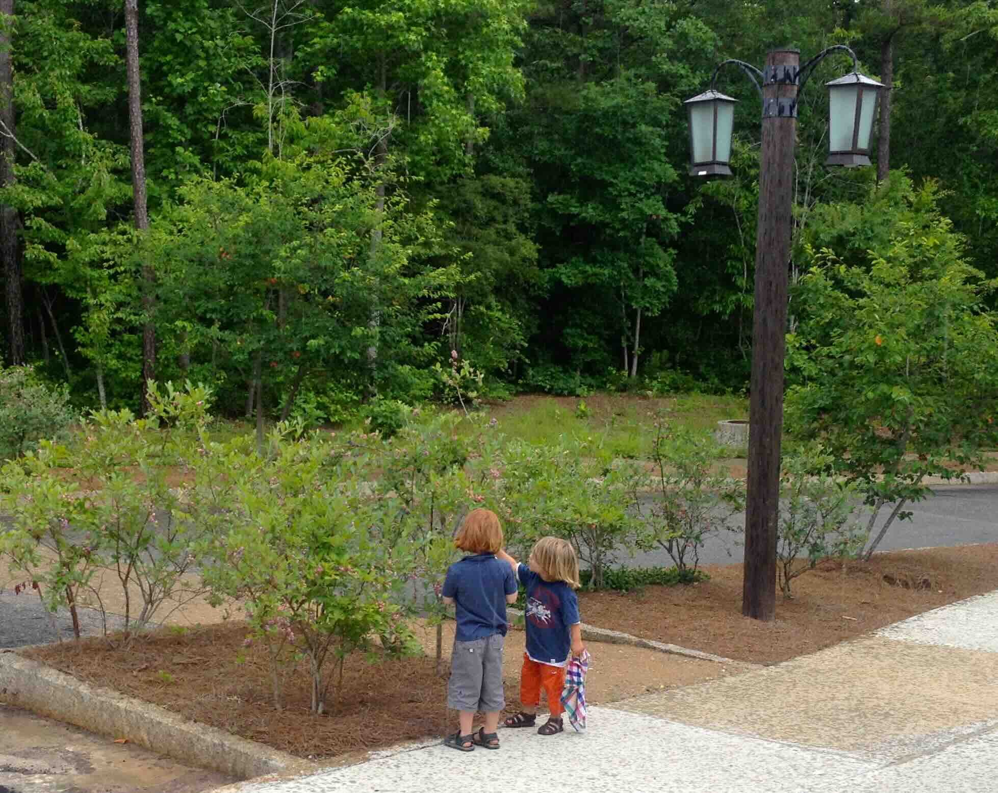 8.1A 2013-06-17 13.04.00.jpeg