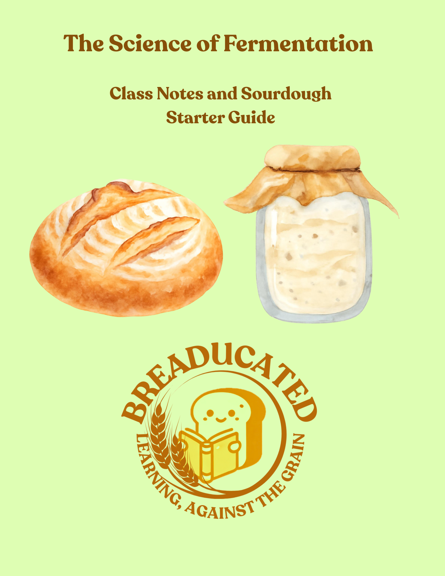 The Science of Sourdough Starters and Fermentation Guide