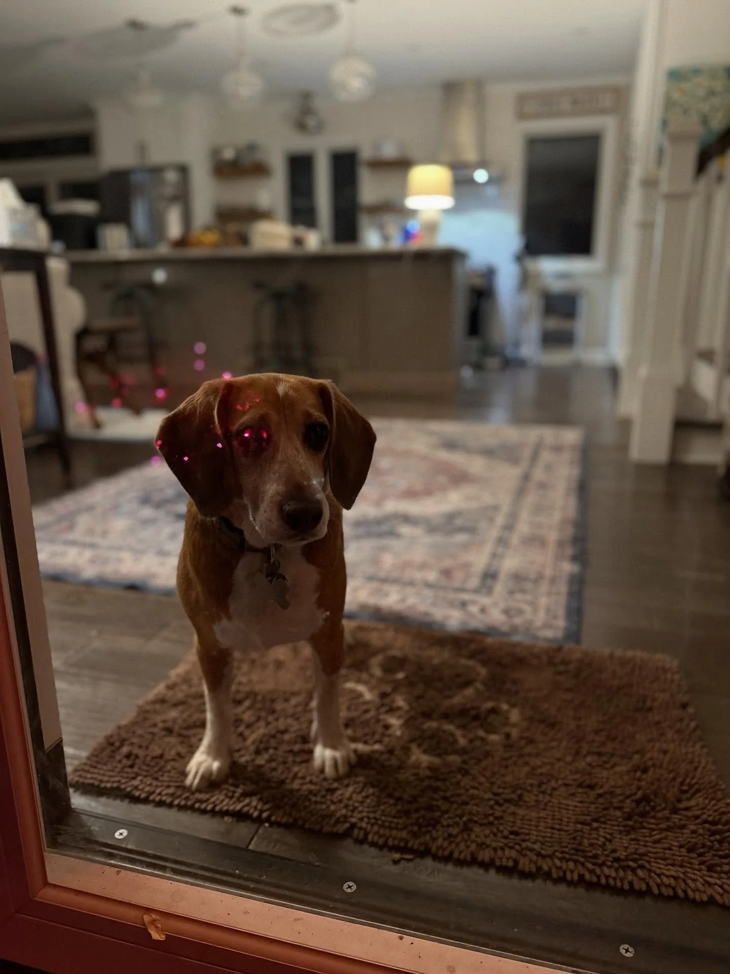 Happy Halloween from the Janitz&rsquo;s