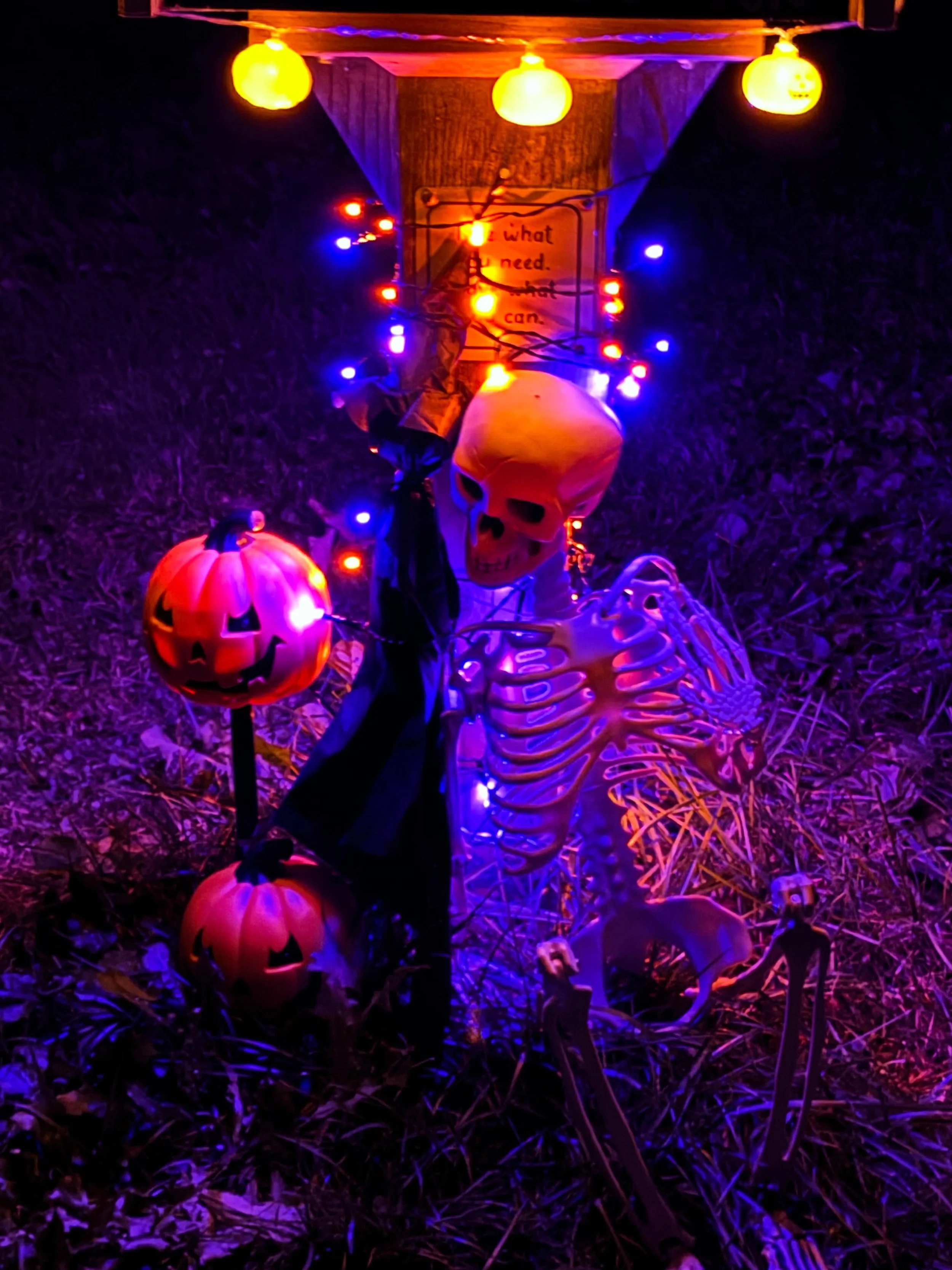 Decorated the free library today for Halloween. It&rsquo;s amazing that it&rsquo;s only Oct 4 but most of the Halloween decorations were already picked over. I ended up at 5 below &hellip; not bad! Thanks to @maitri_61 for helping out!