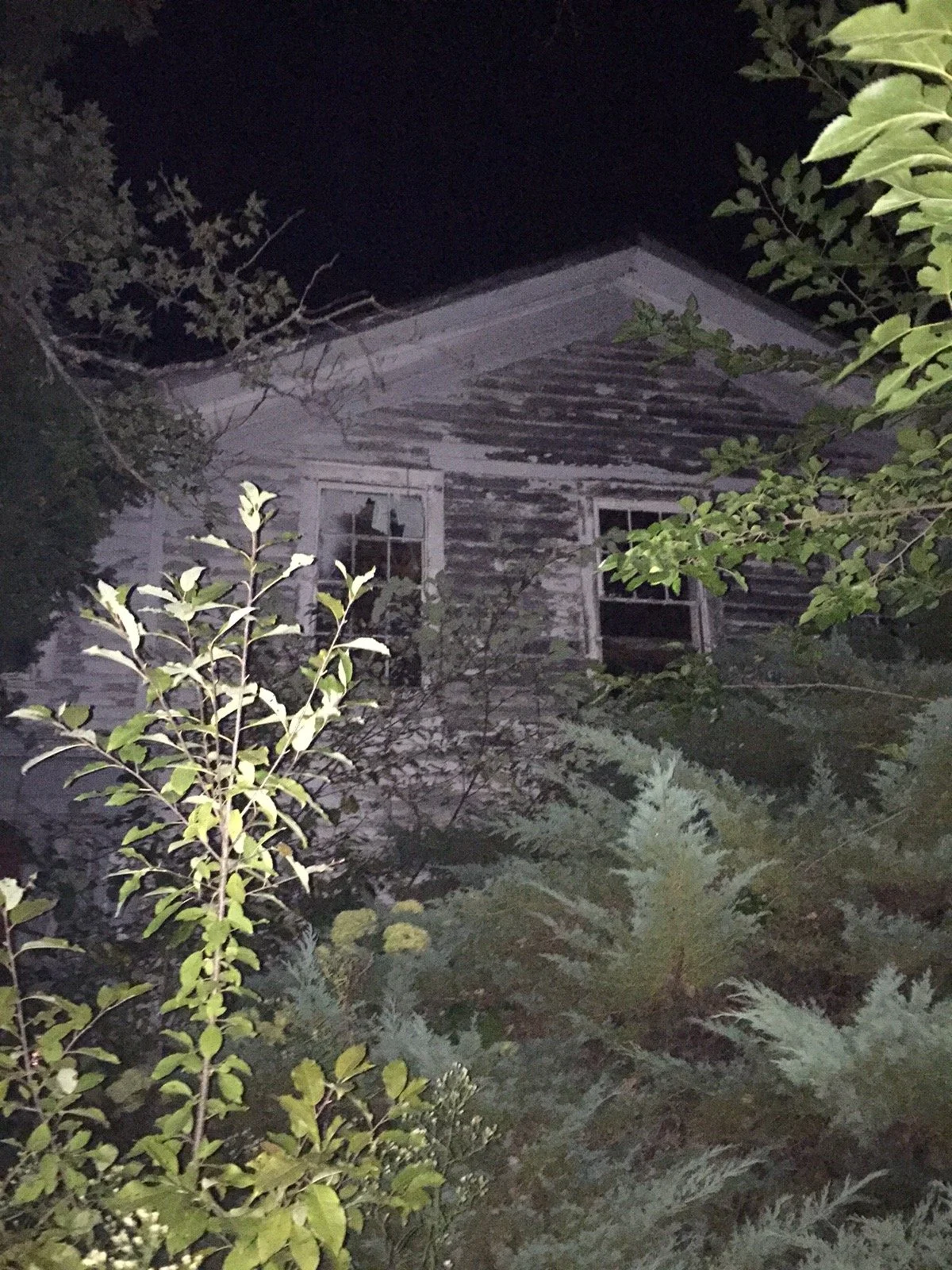 Minnie Quay's Home