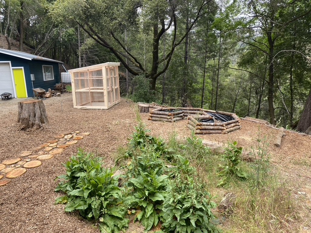 Shelterwood Greenhouse, Planter & Rainwater Collector