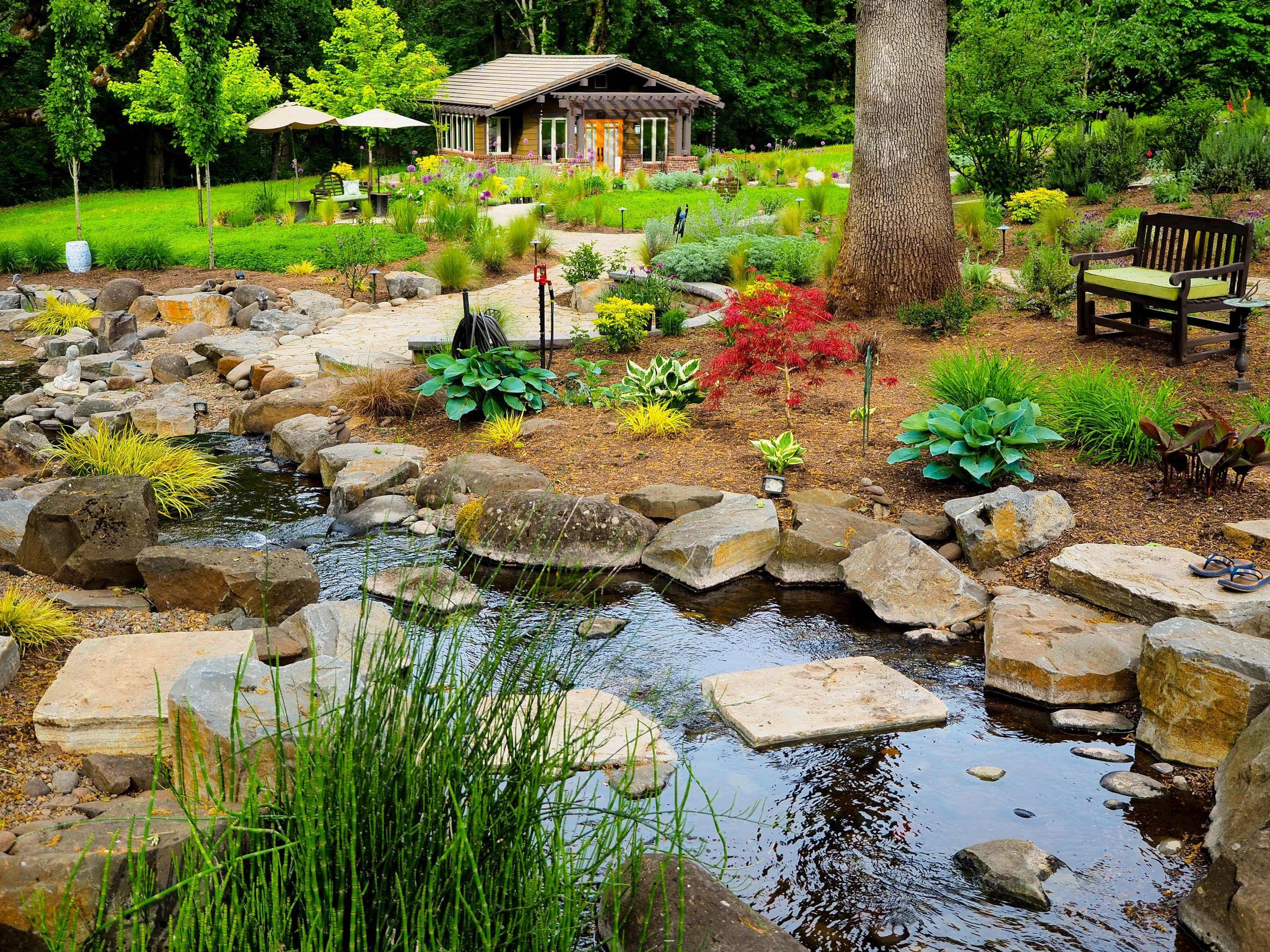 A backyard garden with a small stream, large rocks, lush greenery, and a wooden house in the background.