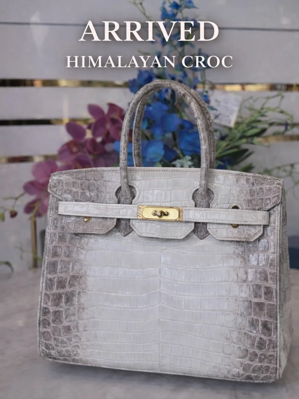 JUST ARRIVED! 👜 ⭐️💫
A rare Himalayan crocodile moment 🤍
The coloring. The quality. Truly unreal. 100% custom.  Just like the 7 bags I&rsquo;ve designed with THE Muki Bolton for my personal collection. 
👉 DM me for details @amyplusjoe
or DM her di