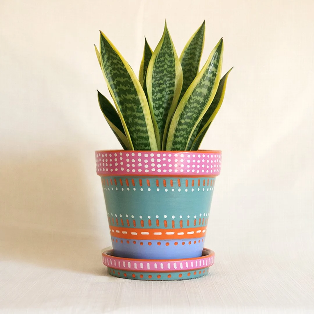 painted planter 6"