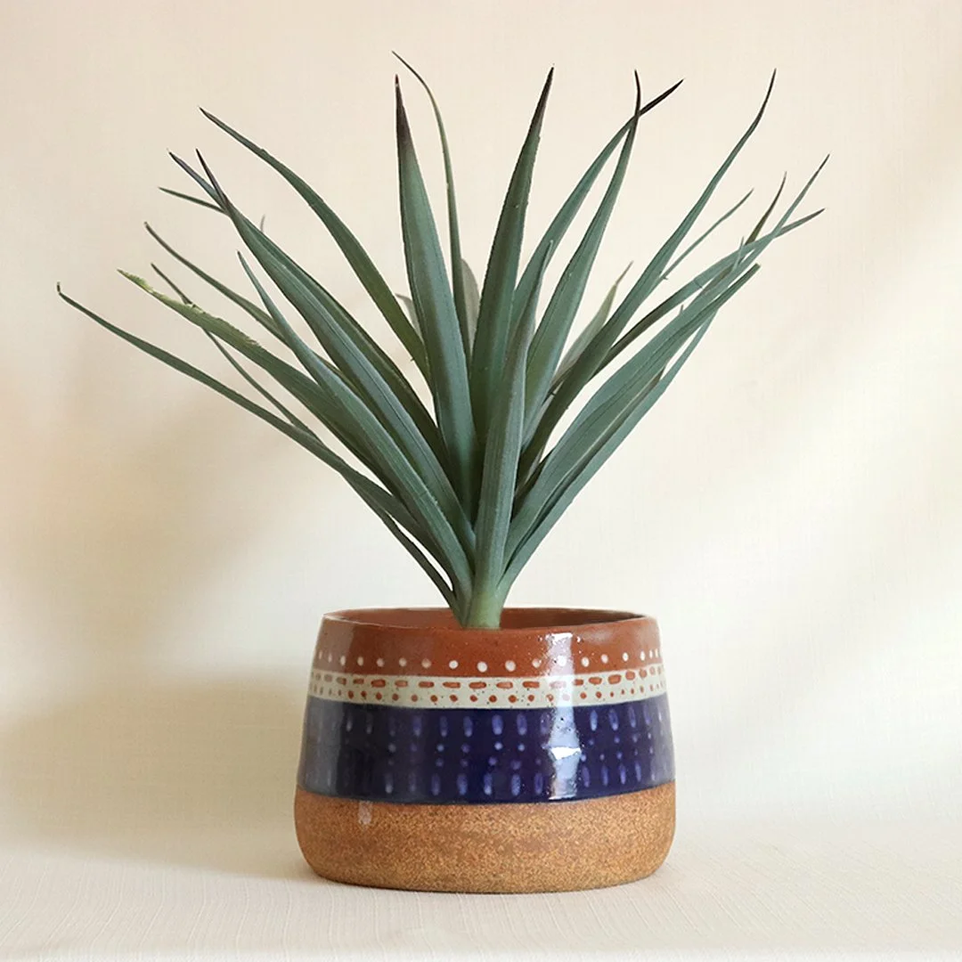 multicolor ceramic planter L