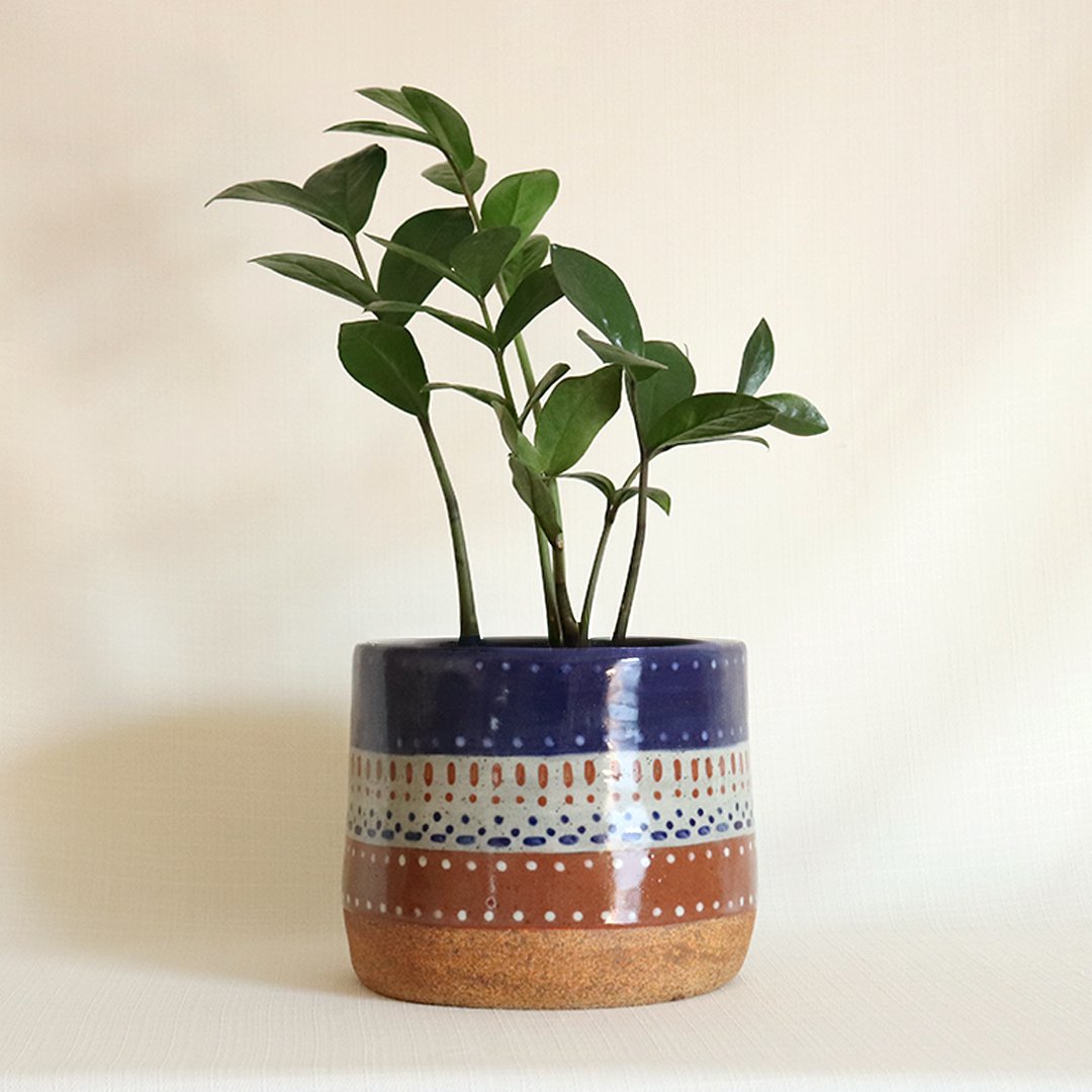 multicolor ceramic planter XL