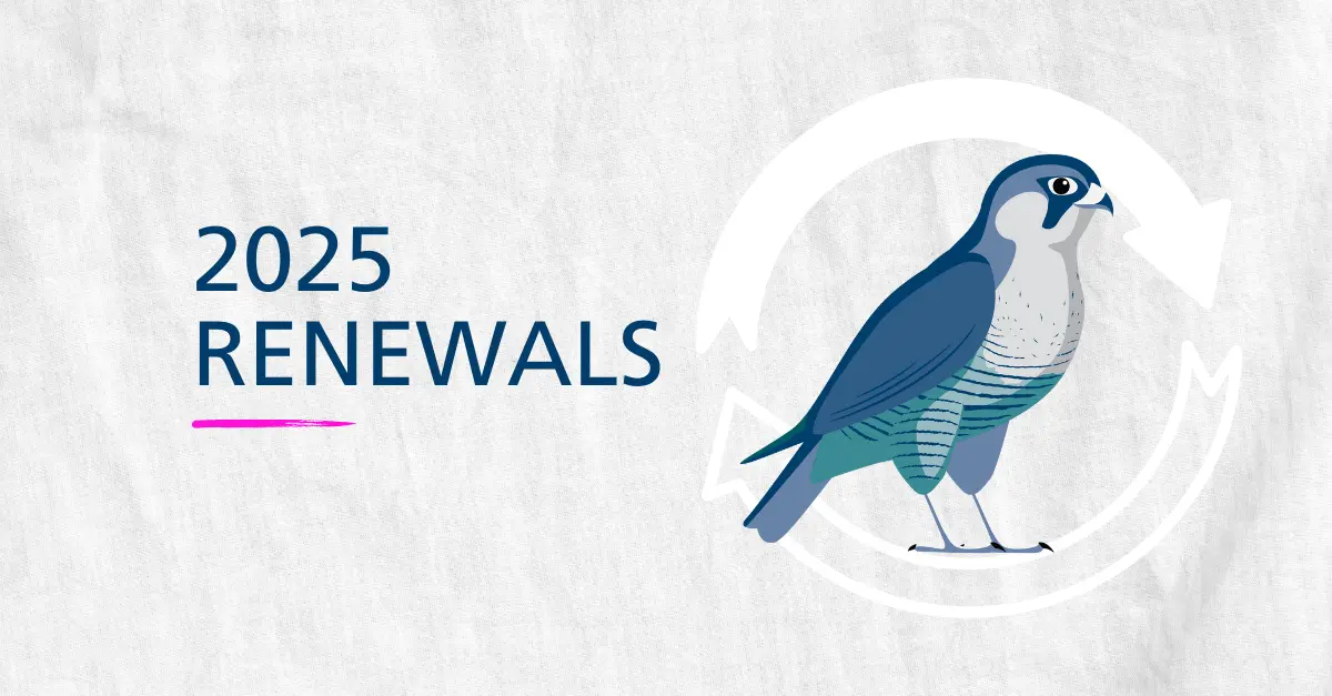 Renewals: What Businesses Need to Know