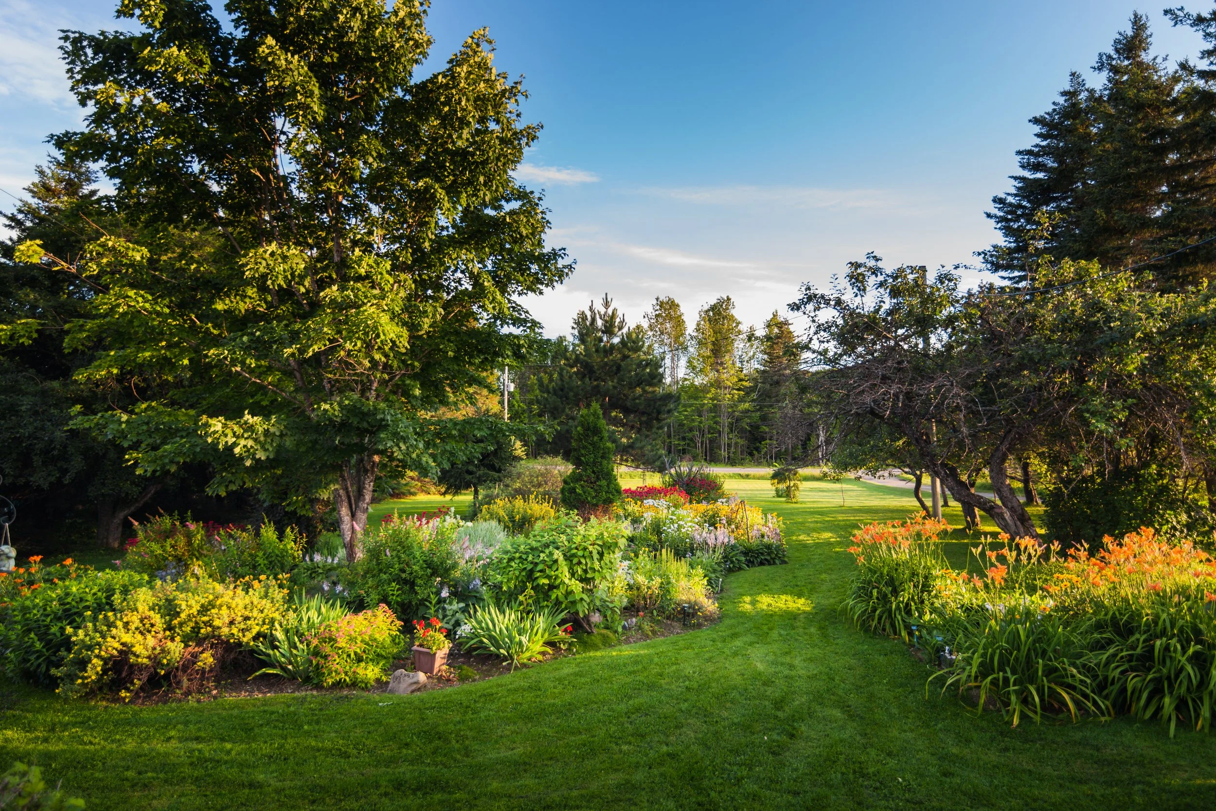 Beautiful garden with a variety of colorful flowers and lush green trees under a clear blue sky.