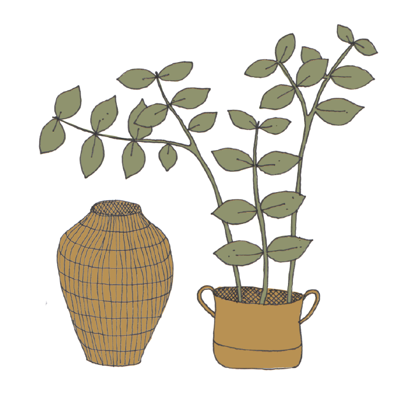 Biophilic Design at Home