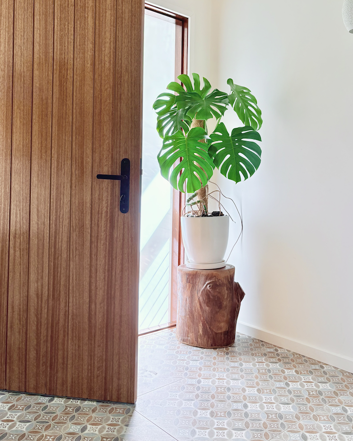 Entry to interior designer Olivia Munroe's own home in Newcastle — vertical timber door, monstera in a white planter on a timber stump, and patterned ceramic floor tiles. A considered residential entryway in the Hunter region.