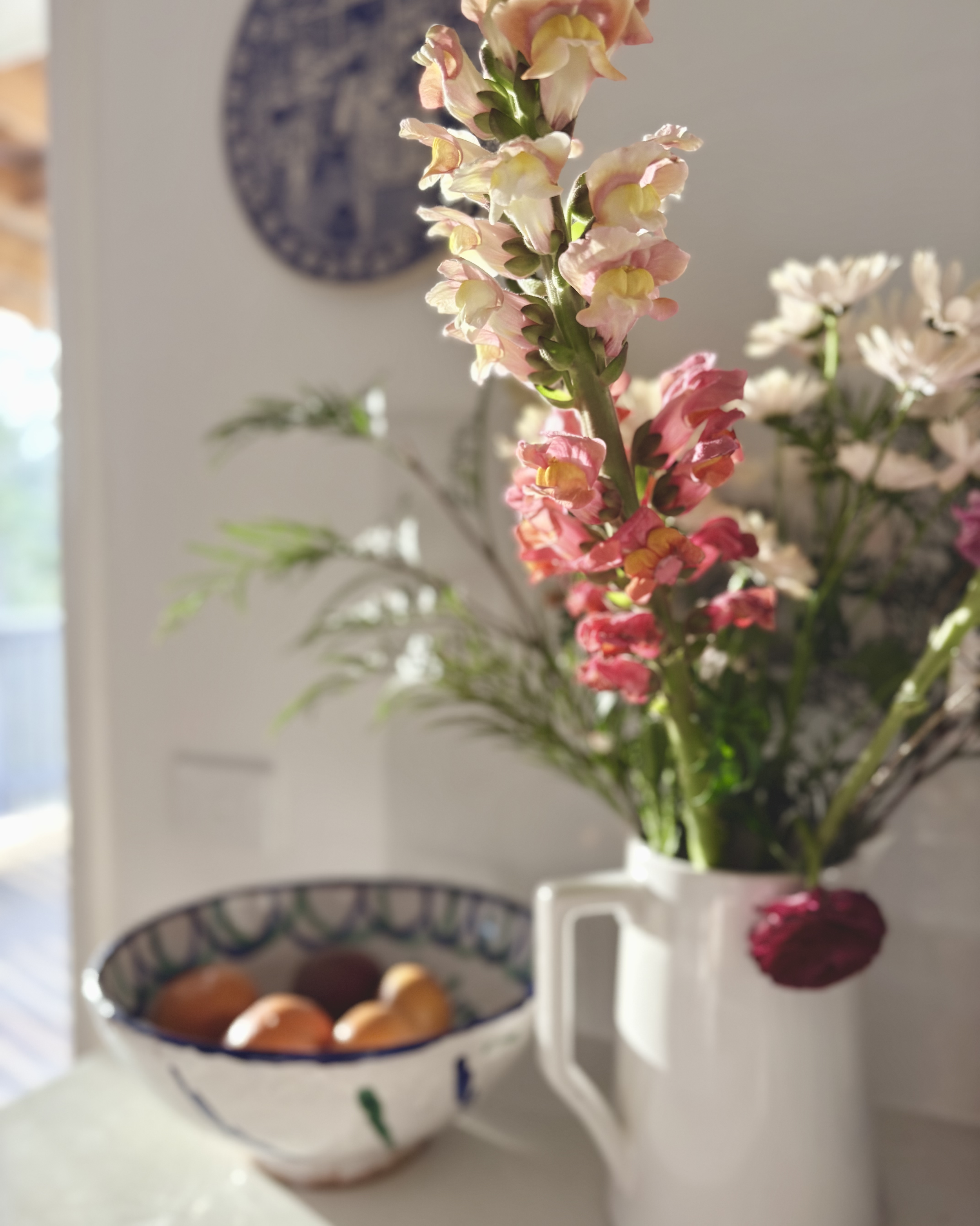 Sun filled Kitchens