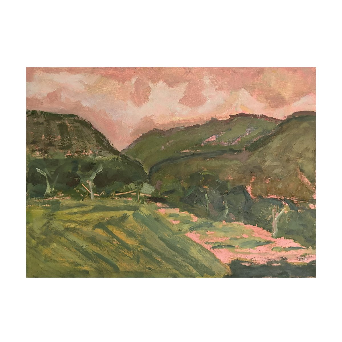 Frances Hoban - Outlook from the Dairy