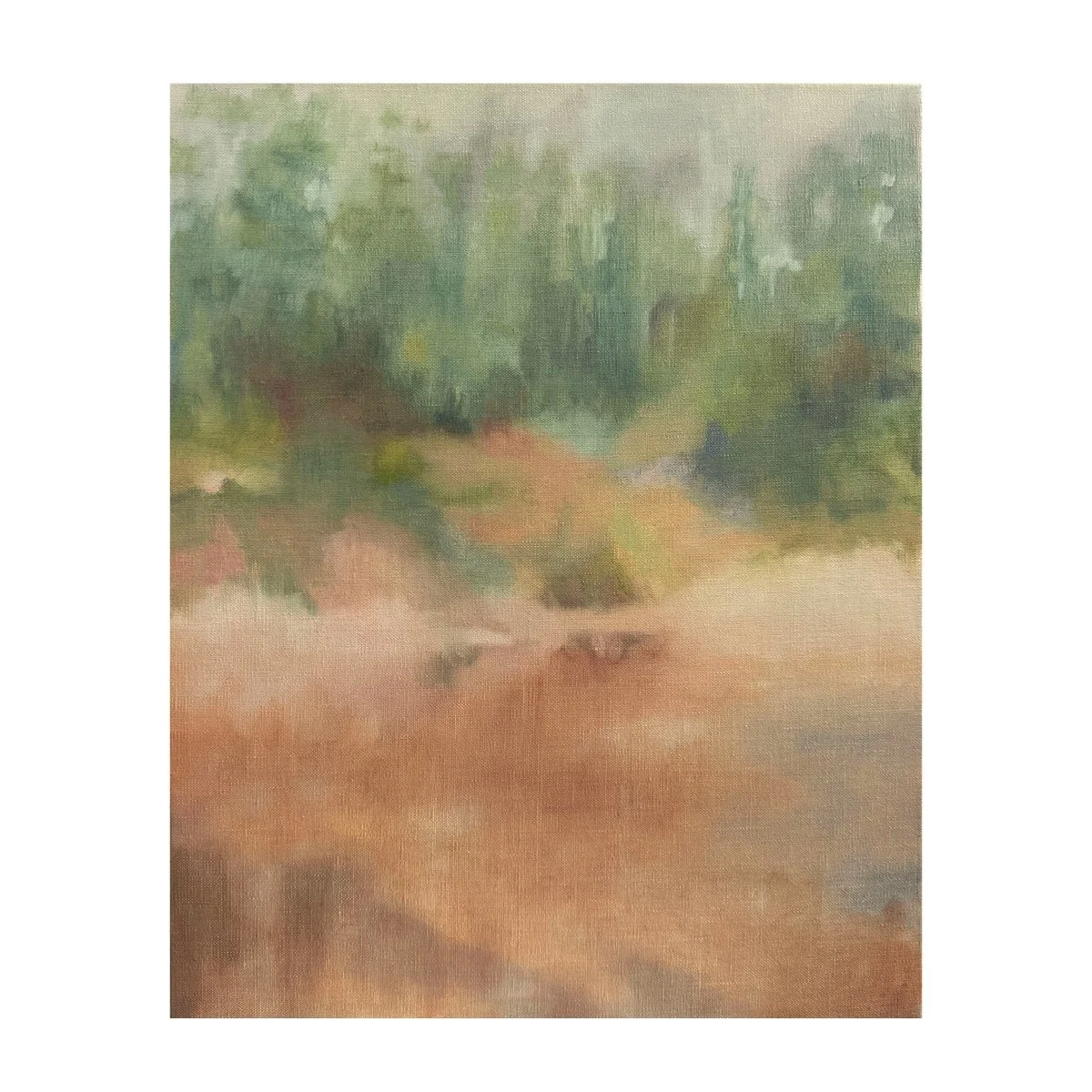 Rebecca Norris - Sun-glade, Lutruwita/Tasmania