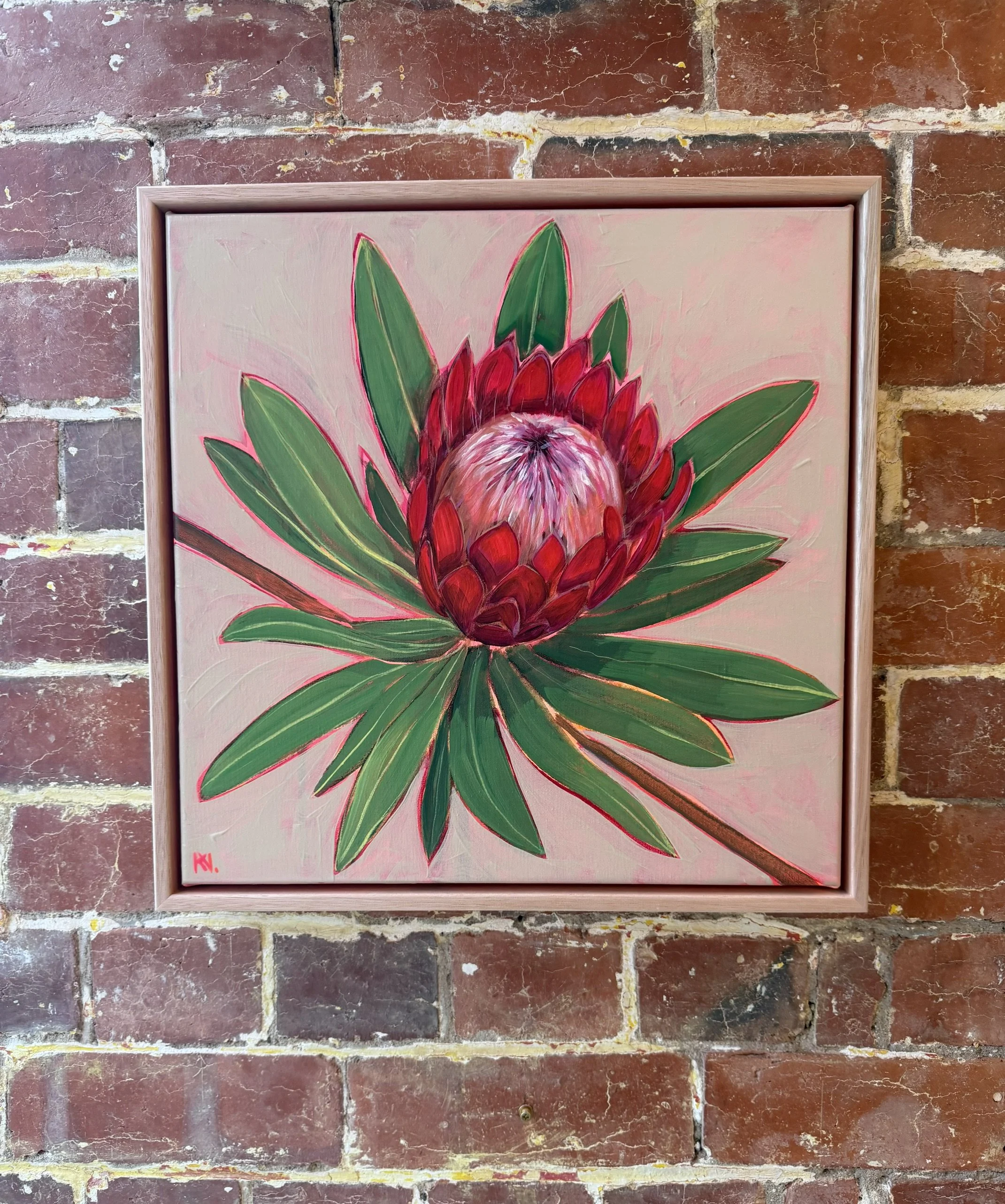 Sugarbush (Queen Protea) - Kate Valentine
