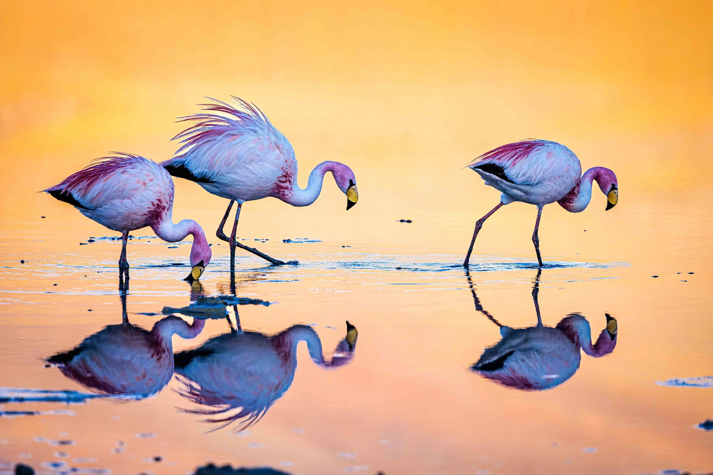 5th_Element_Test-6526_u2gia3