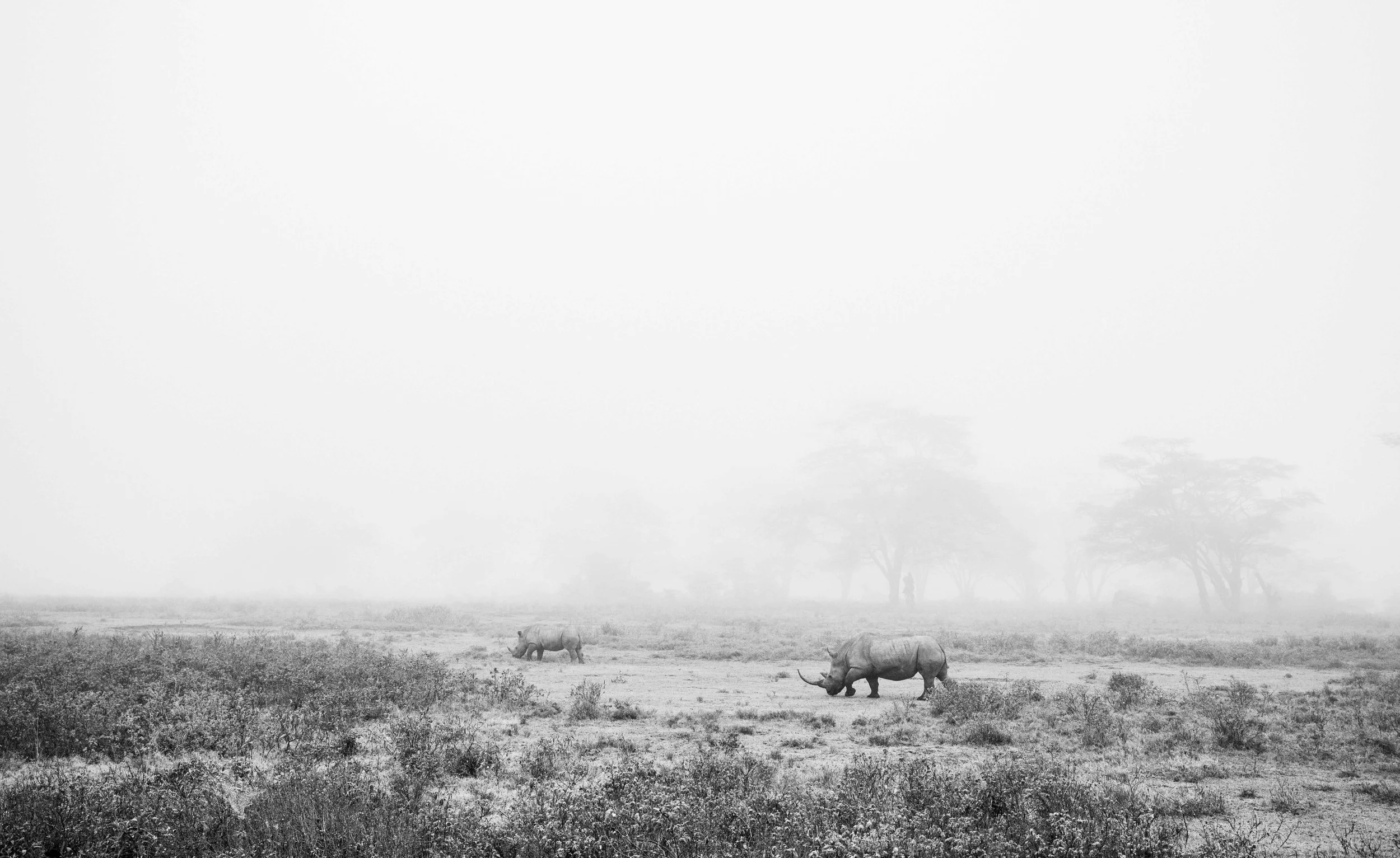 5th_Element_Test-1532_ibikln