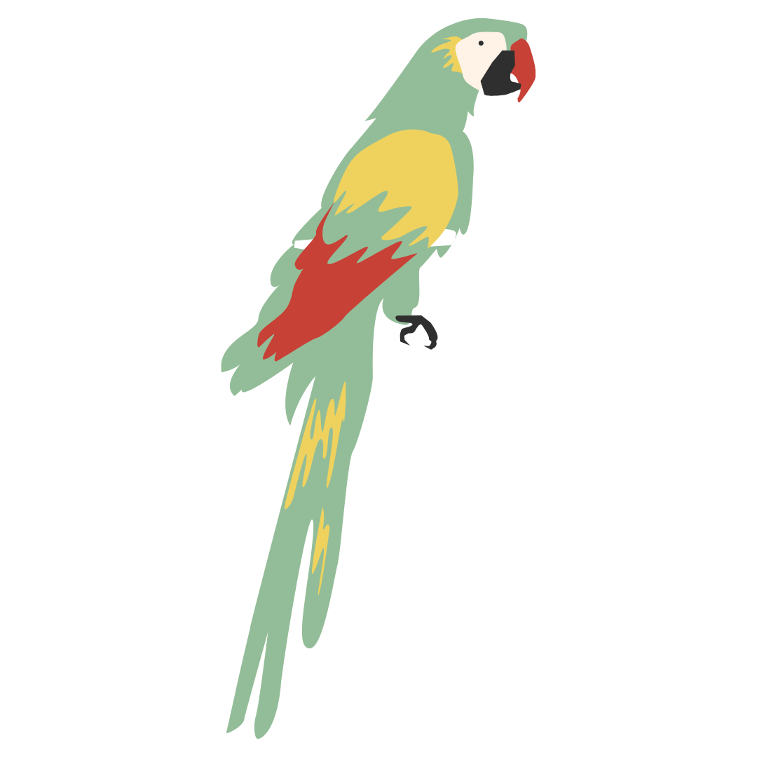 A decorative illustration of a parrot with green, yellow, and red feathers.