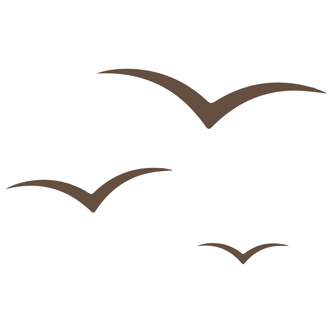Decorative image of flying birds
