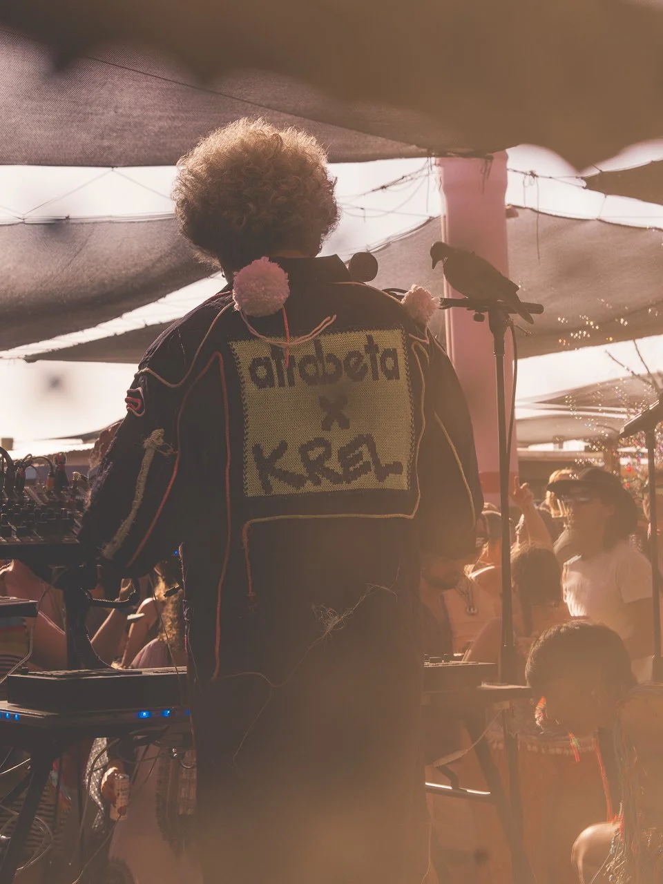 Afrobeta, music, concert, festival, event, DJ