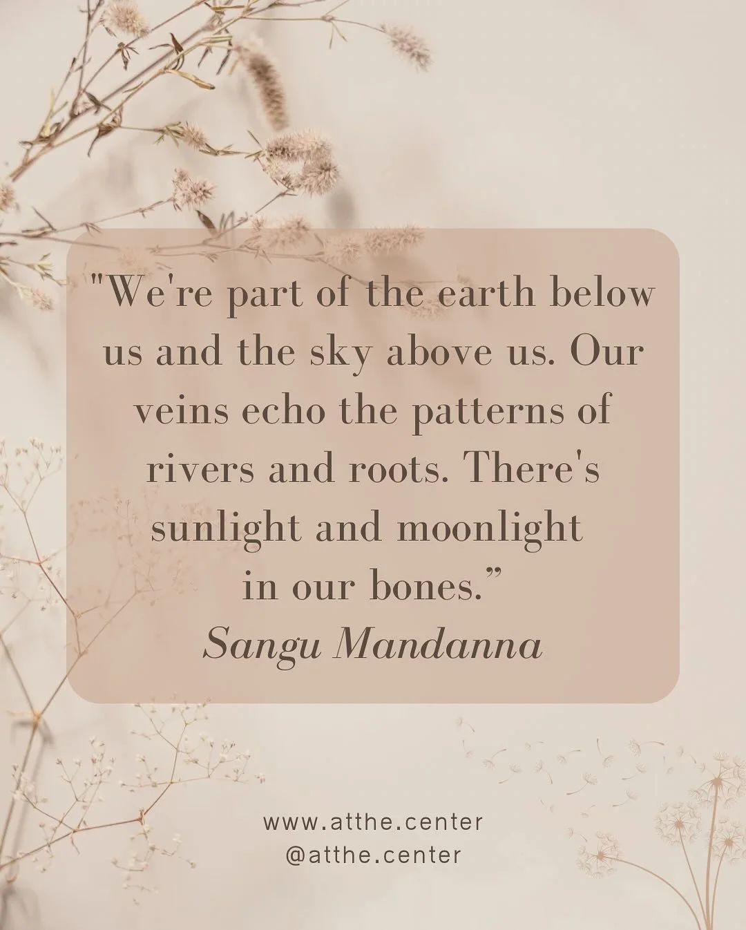 🌿 Why Ecosomatics? 

Your body is not separate from the land. 
It is of the land. 
It is a place of knowing. A place of transformation. It holds the imprint of what&rsquo;s been survived, and the blueprint for what could be.

At The Center turns to 
