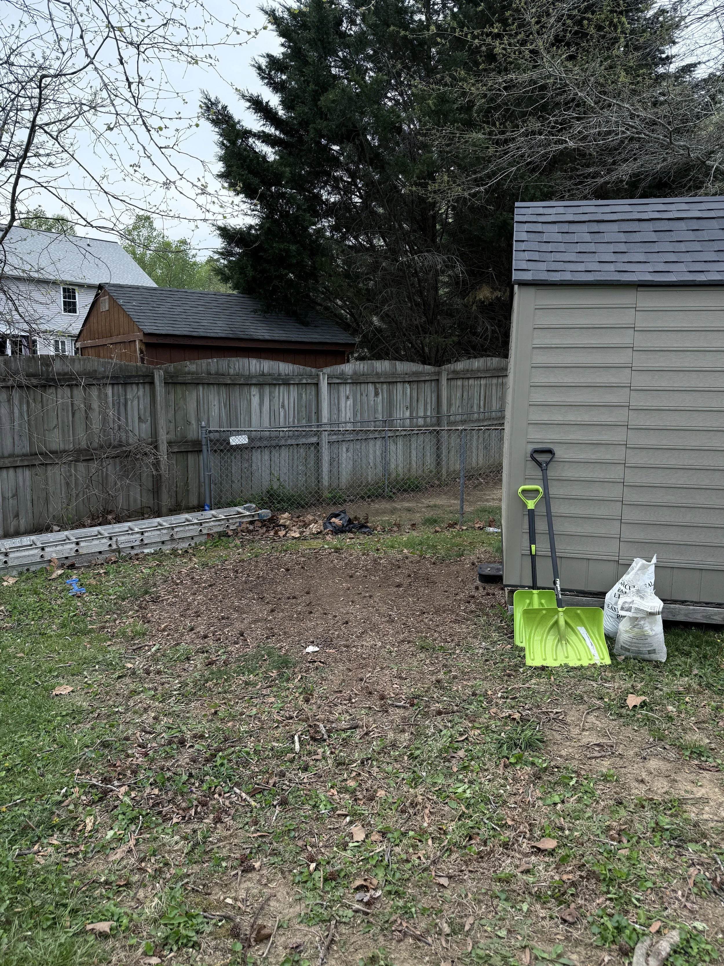 Backyard with patch of dirt, green grass, wooden and chain-link fences, shed, and gardening tools including a green snow shovel and a bag of soil or mulch.
