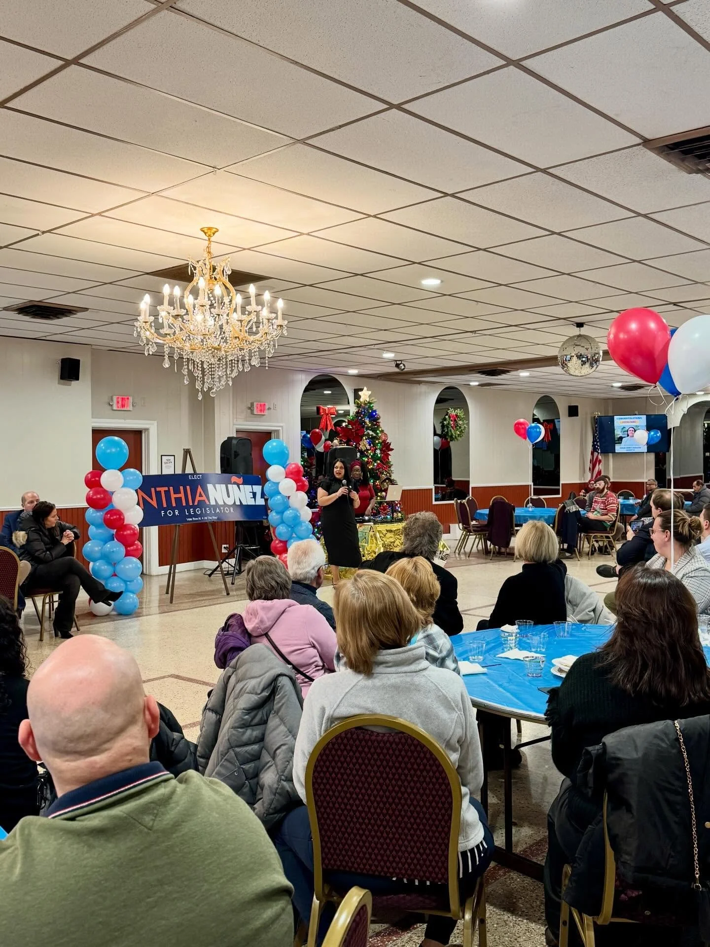 What a night! THANK YOU to everyone who came out to celebrate with us. Your support, energy, and belief in our mission made history in Nassau County. I&rsquo;m grateful for every volunteer, every conversation, and every person who stood with us along