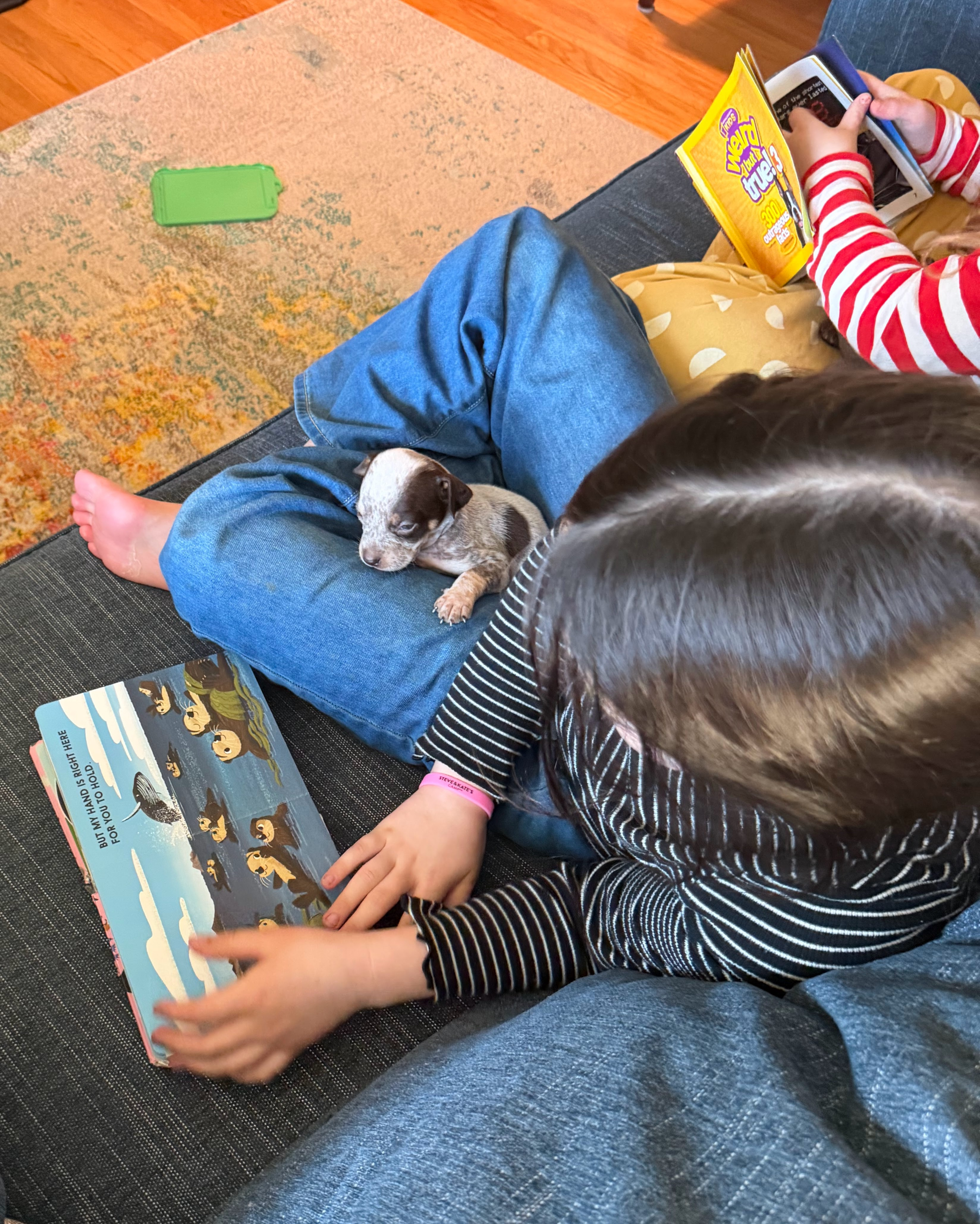 A child is seated on a dark blue couch reading a book to a small puppy.