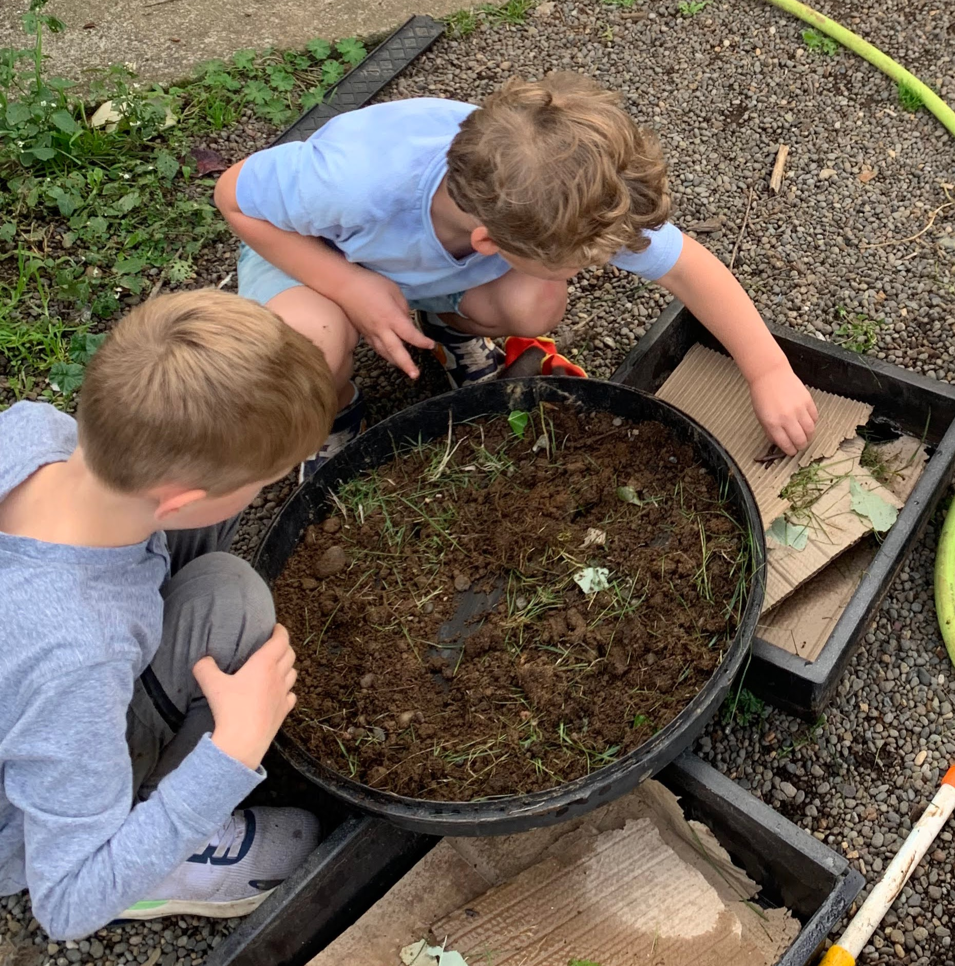 Two children with light hair, one in a light blue shirt and gray shorts, crouched down in a garden bed, tending to soil, earthworms, and small plants. They are outdoors on a gravel and concrete surface, with gardening tools and a hose nearby.