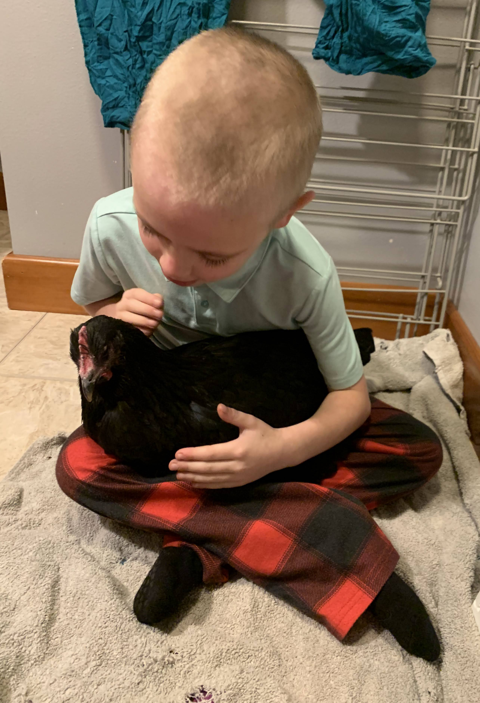 A child with a shaved head sitting on a beige rug, holding a black chicken. The child is wearing a light green shirt and red plaid shorts with black socks. A towel and a coat rack are in the background.
