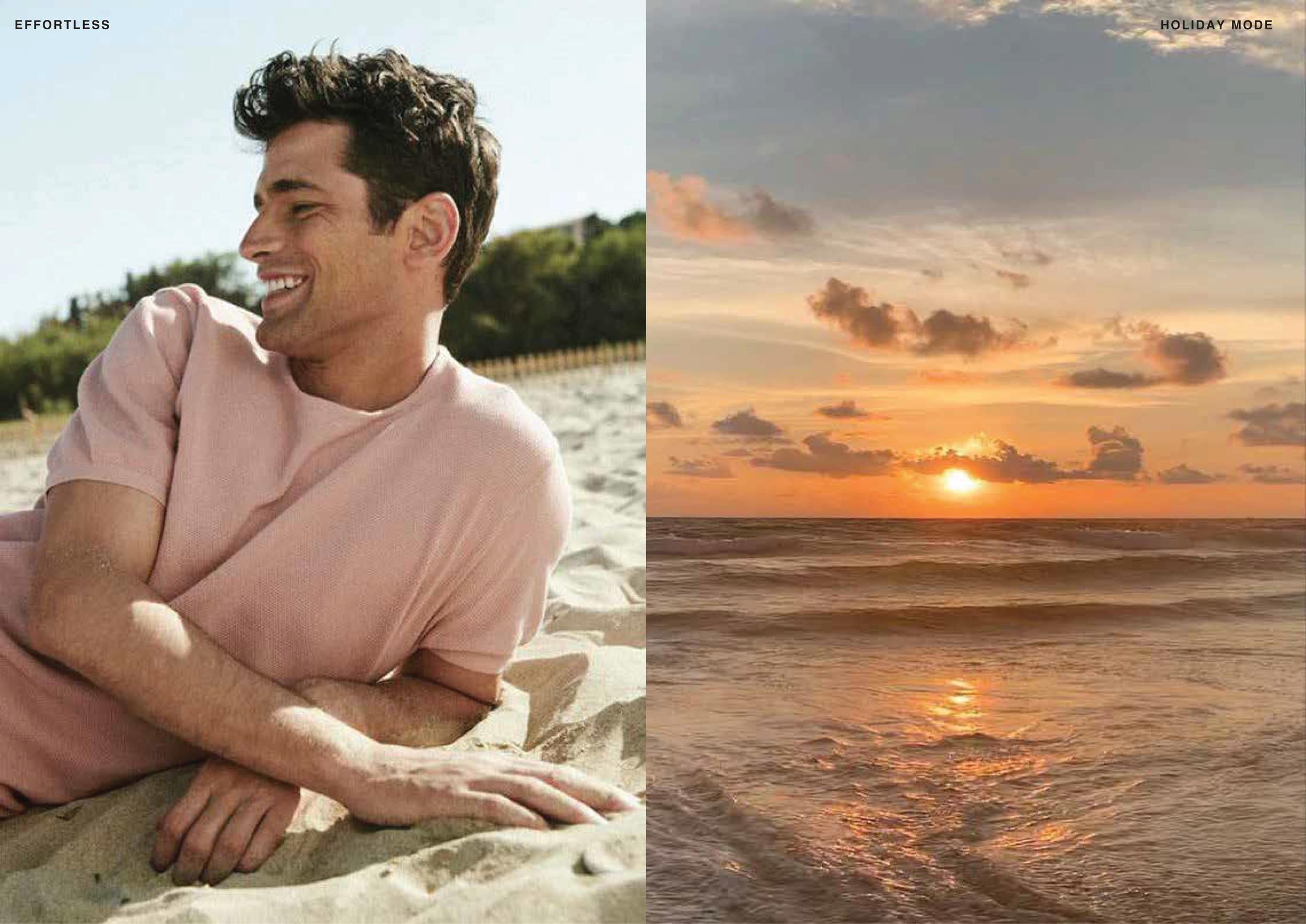 Mensa Brands- Concept