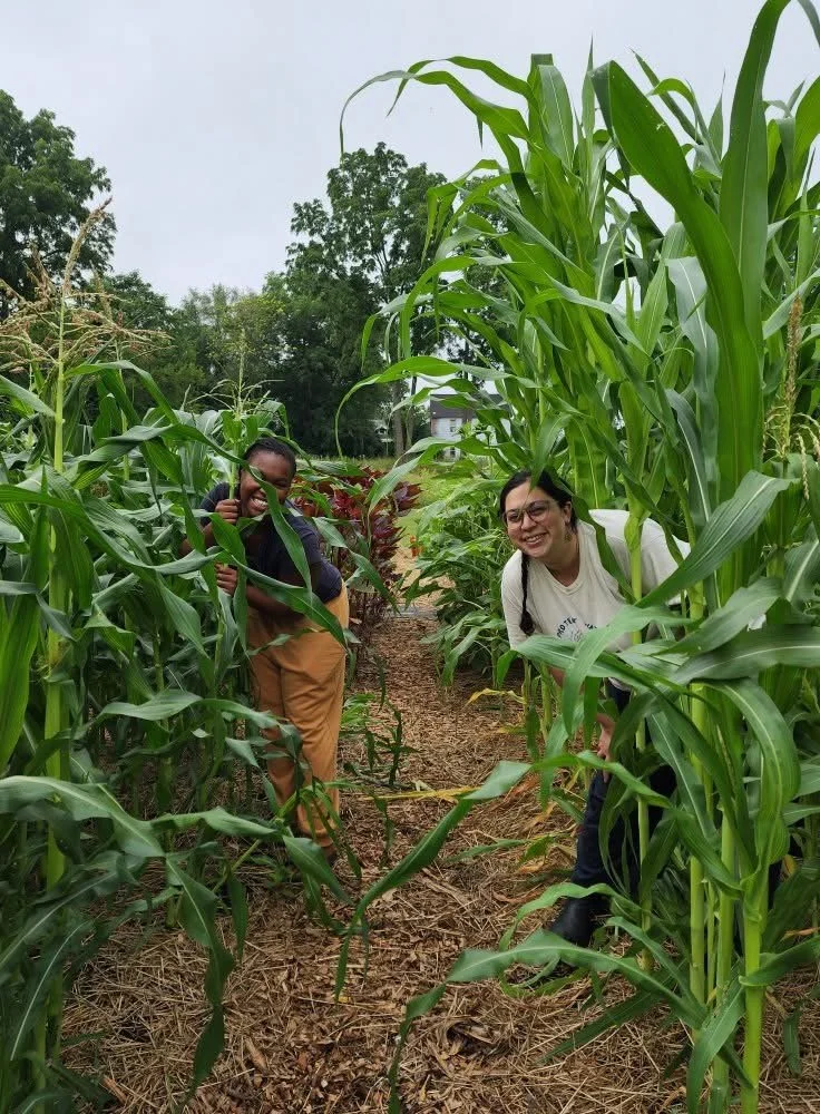 Two people smiling in a corn plot