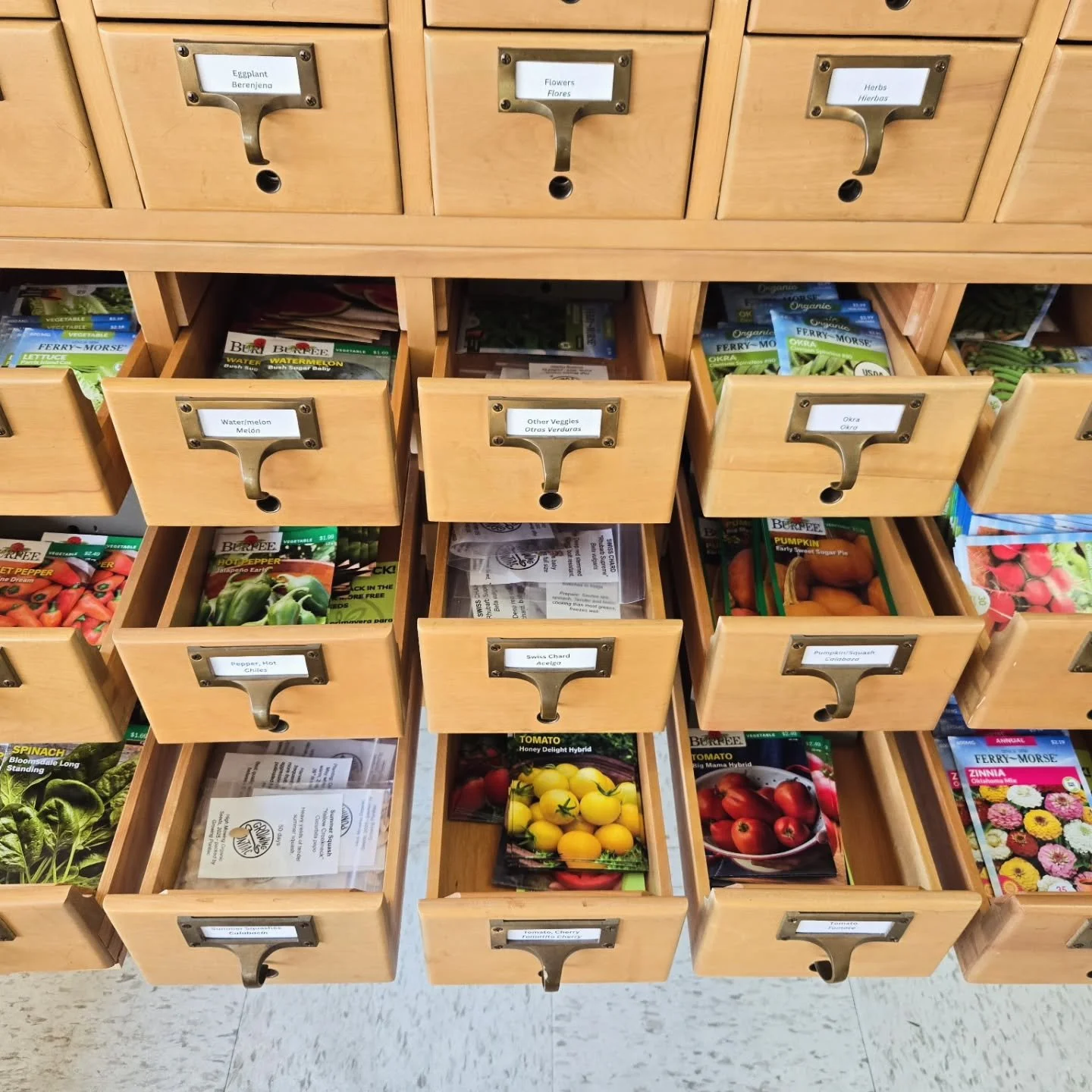 Can you believe it's March?! So much is happening!

- Pontiac Public Library SEED LIBRARY Is stocked! Swing through for free seeds in the lobby. Let us know if ya wanna volunteer ;)
- Some seeds are germinating at the @micah6community prophouse! Stay