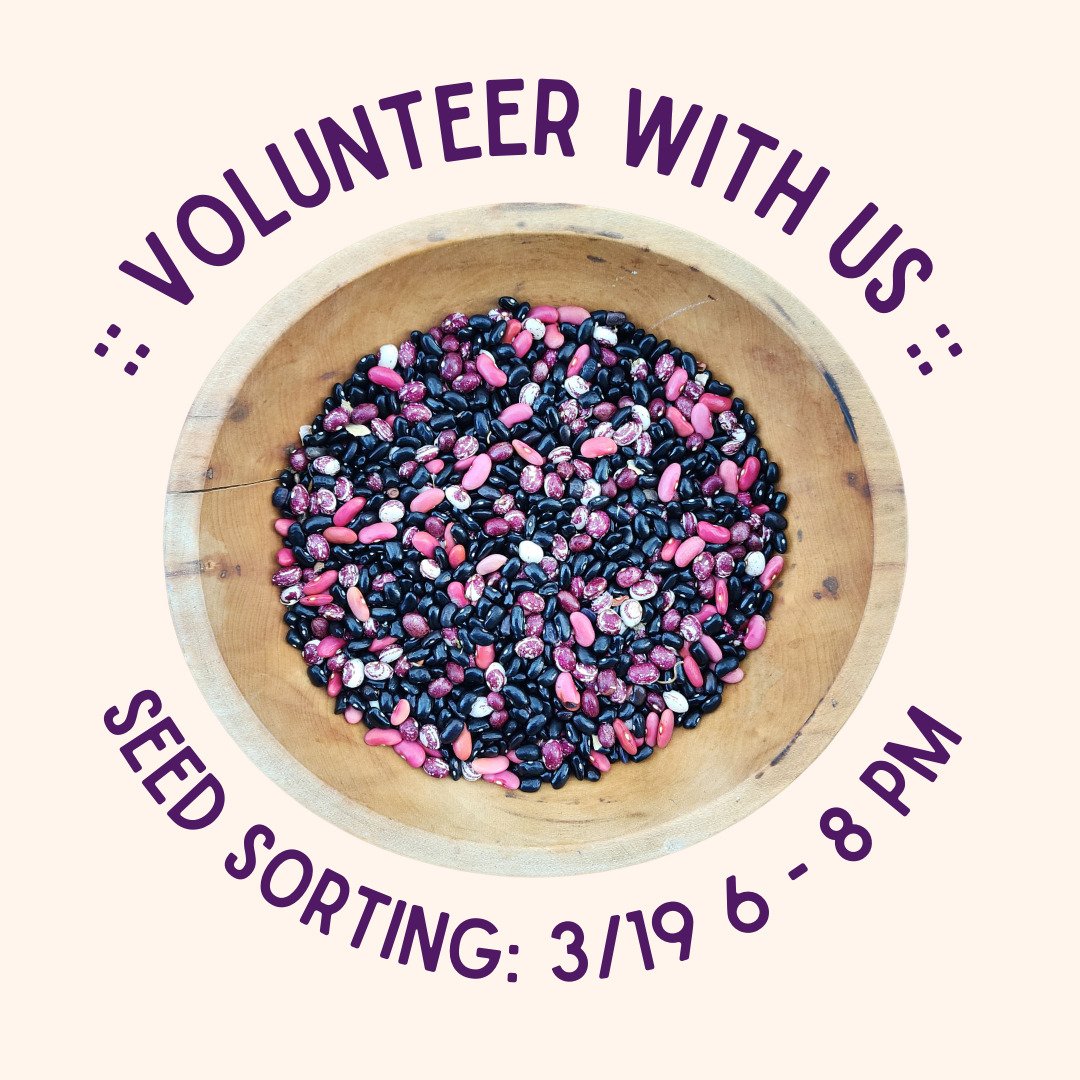 Seed sorting party tonight!

Our March Member Meet Up is a volunteer opportunity: we will be sorting retail seed packets by variety so we can more easily stock our Pontiac Seed Library at the @pontiacpubliclibrary 

This is seated work (or standing, 