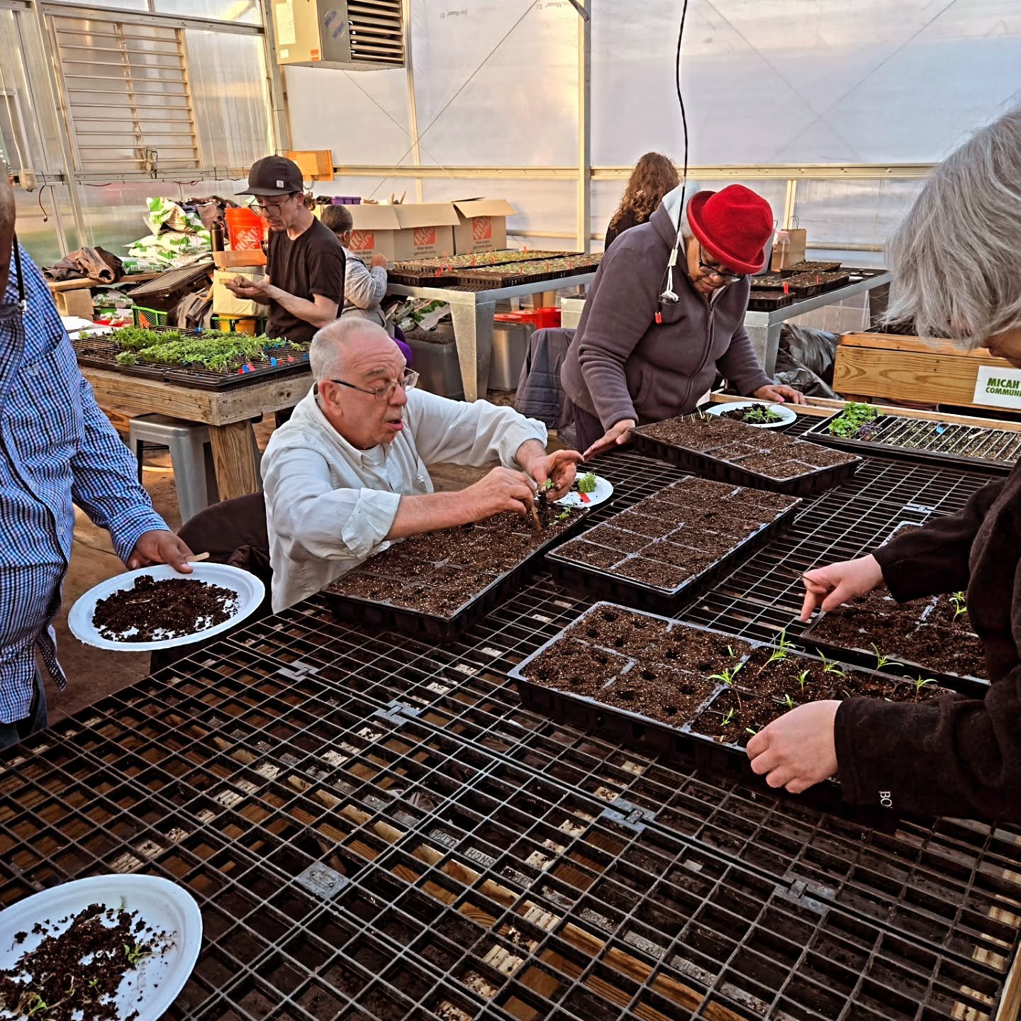 Thank you everyone for coming to this whirlwind tray-up session in the greenhouse!!! We couldn't do it without you 🥲 all of tomatoes, peppers, eggplants, half of our flowers and herbs are all complete! Next up: fast growing flowers, okra, gandules, 
