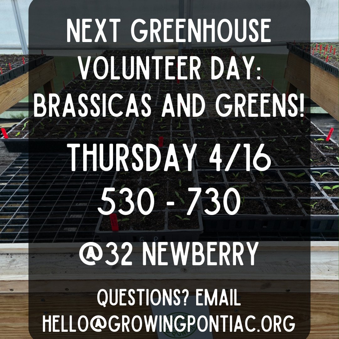 Heads up! Our next greenhouse volunteer day is 4/16! We will be putting basil, brassicas (kale, collards, mustard), chard, and flowers into trays for our big annual plant sale on May 14th and 15th!

This is both seated and standing, fine motor work. 