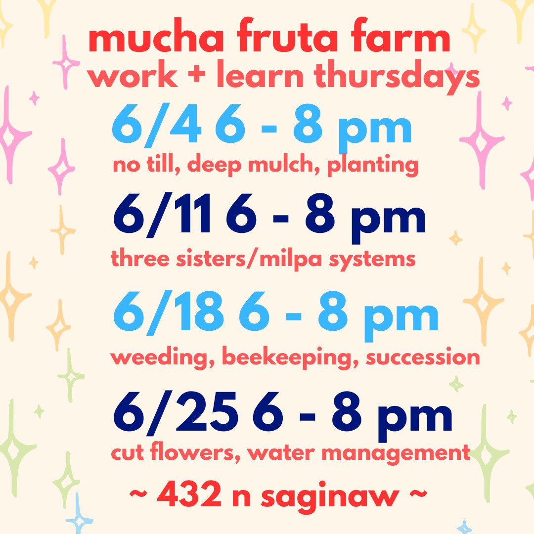 Want to learn about gardening or just put your hands in soil? Meet us at @muchafrutafarm 🍉

We work at the farm every Thursday night! While guidance and learning are available every Thursday, 2nd and 4th Thursdays are a little more structured. There