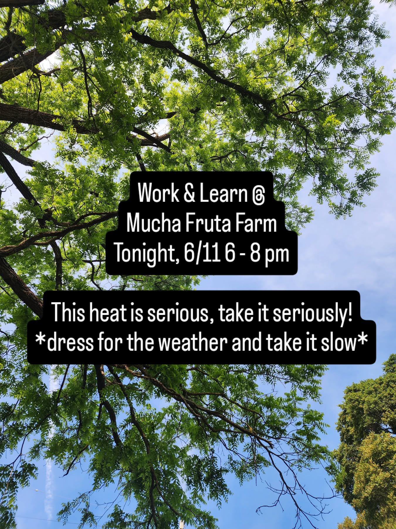Tonight at 432 N Saginaw St! Our work and learn has volunteer time and guided learning. Please bring water and take the heat seriously!

Porta potty is available on site.