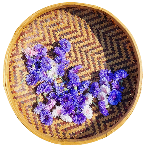 Woven dark and light brown basket with purple and pink bachelor's button flowers