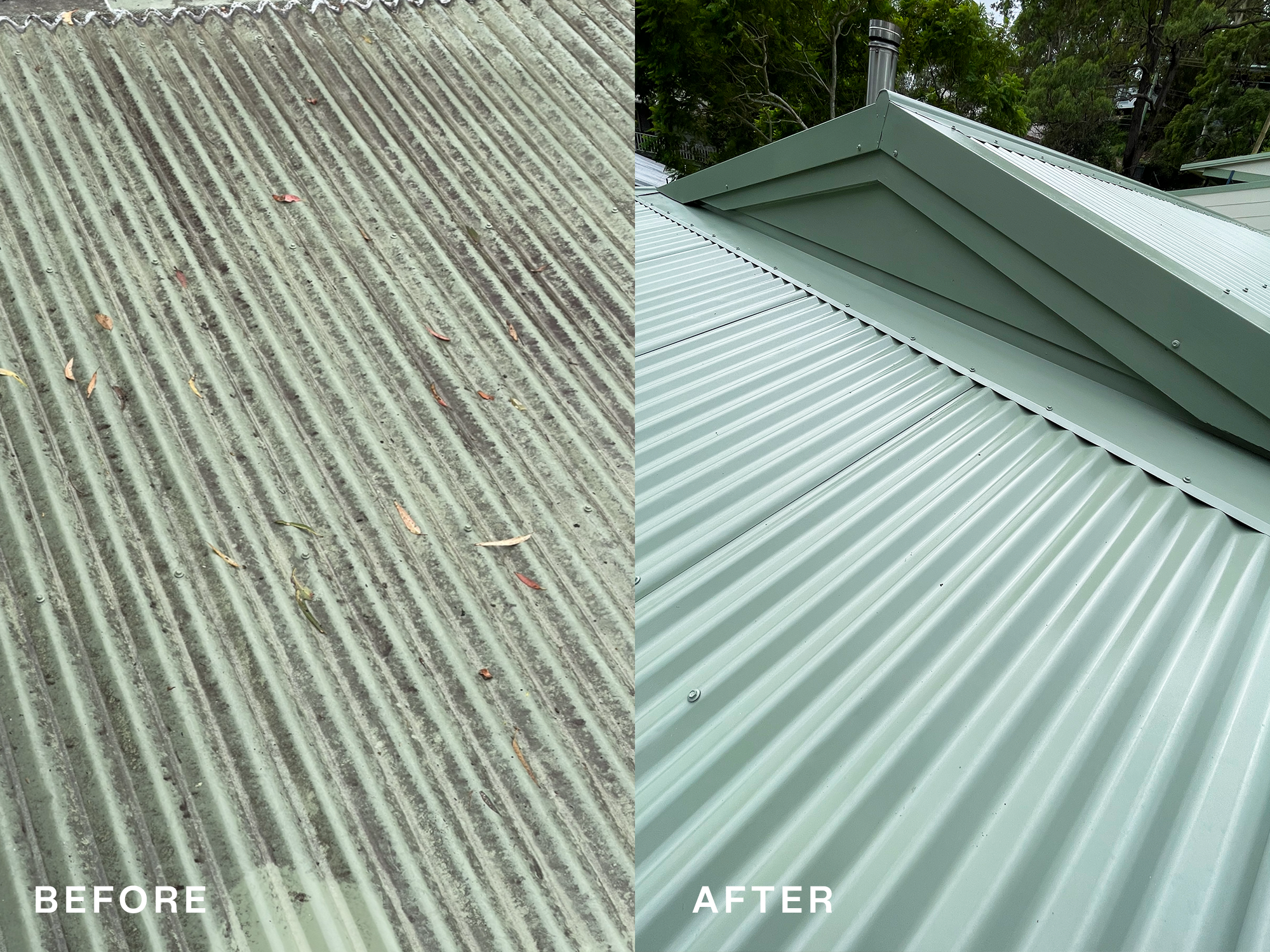 roof 1.png